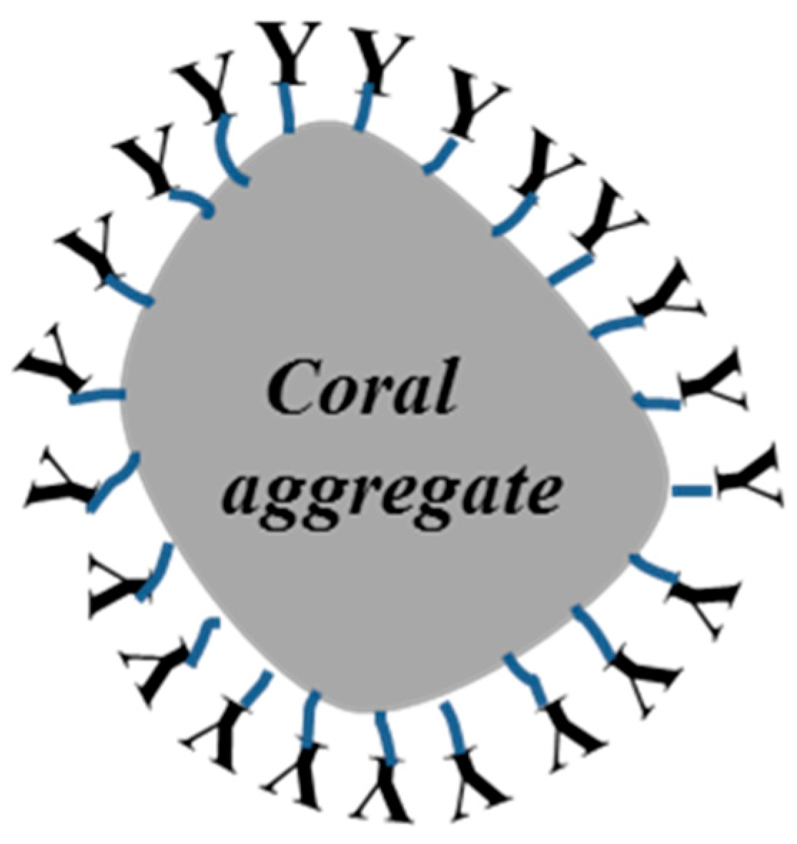 Materials 14 06454 g006