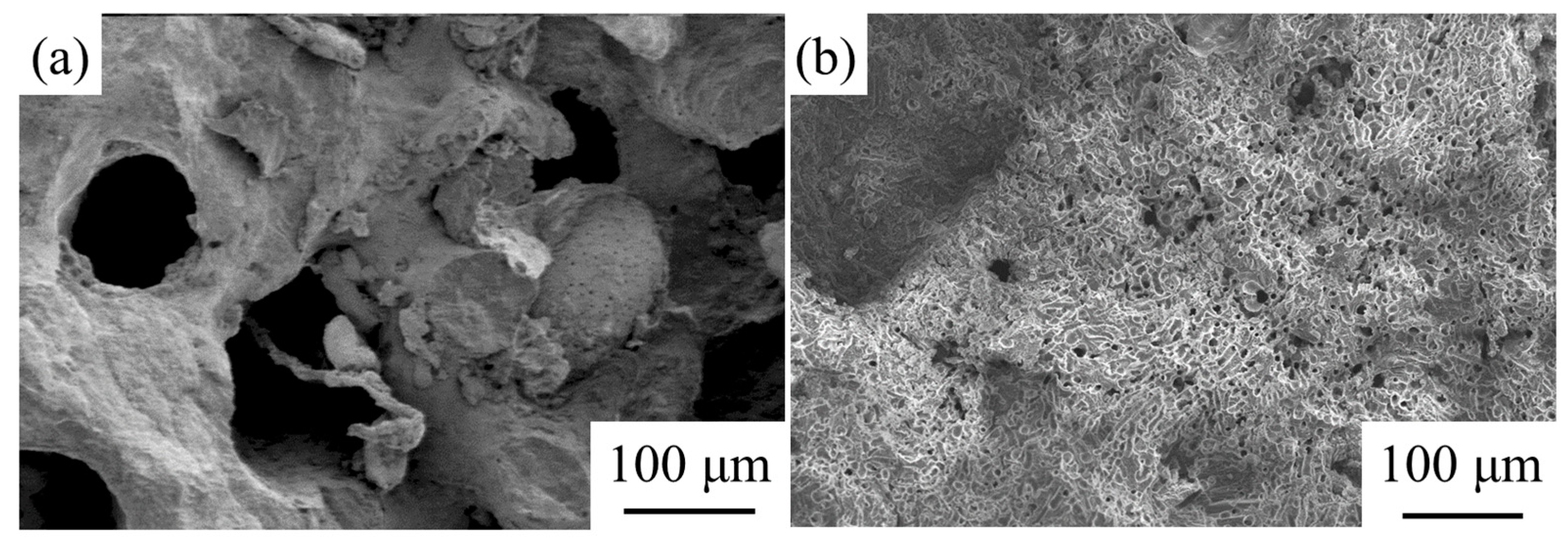 Materials 14 06454 g007