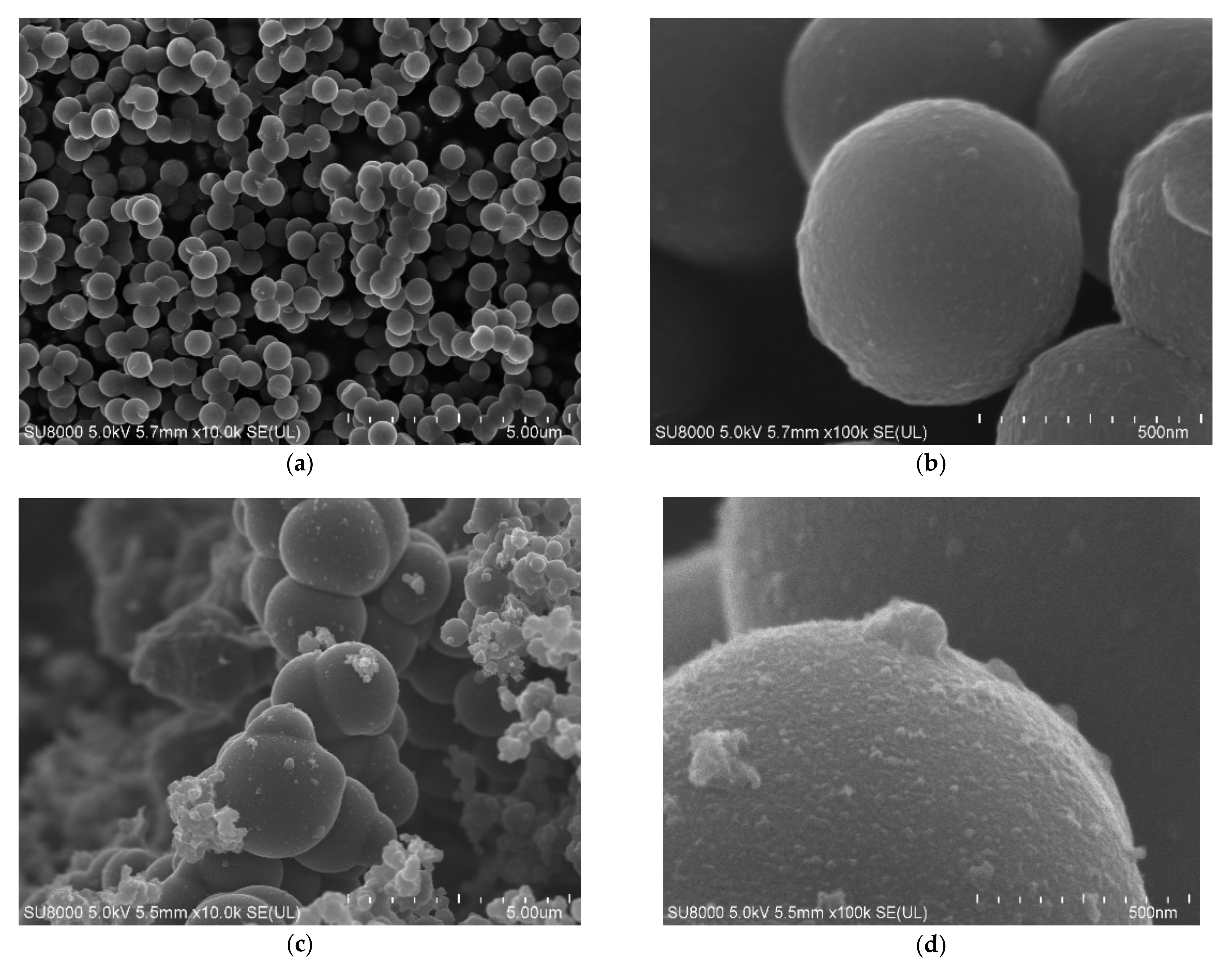 Materials 14 06478 g002