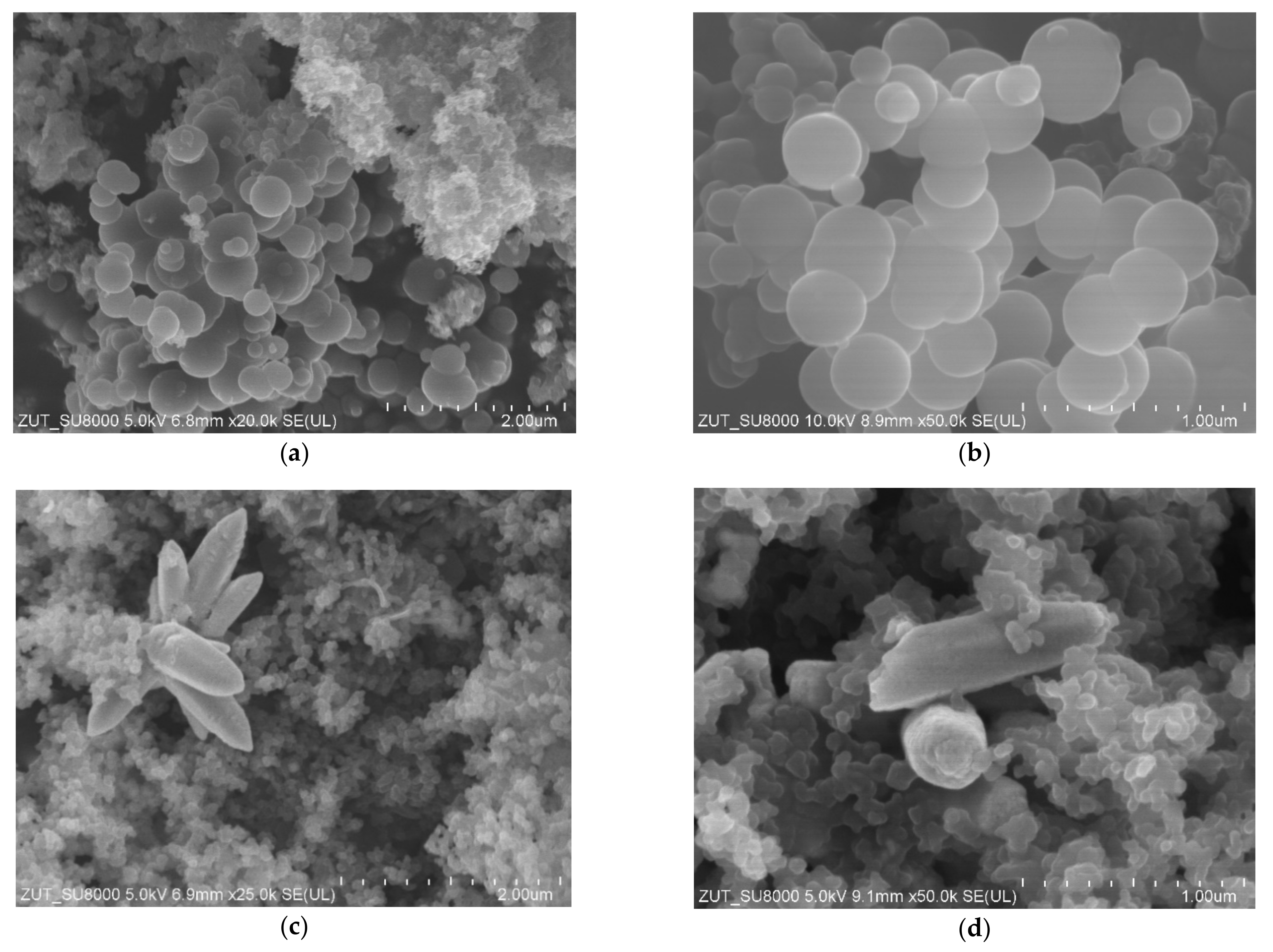 Materials 14 06478 g004