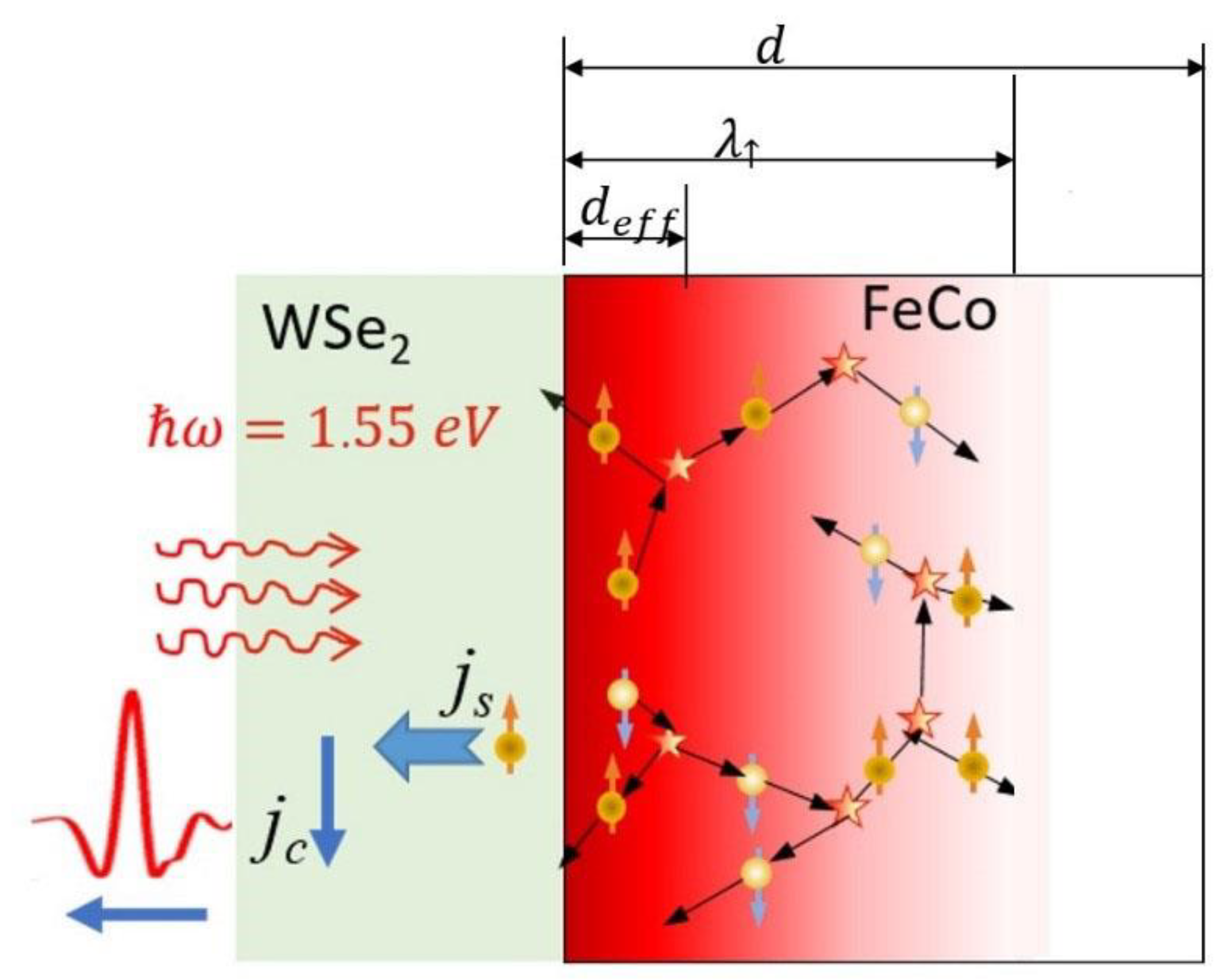 Materials 14 06479 g004 550