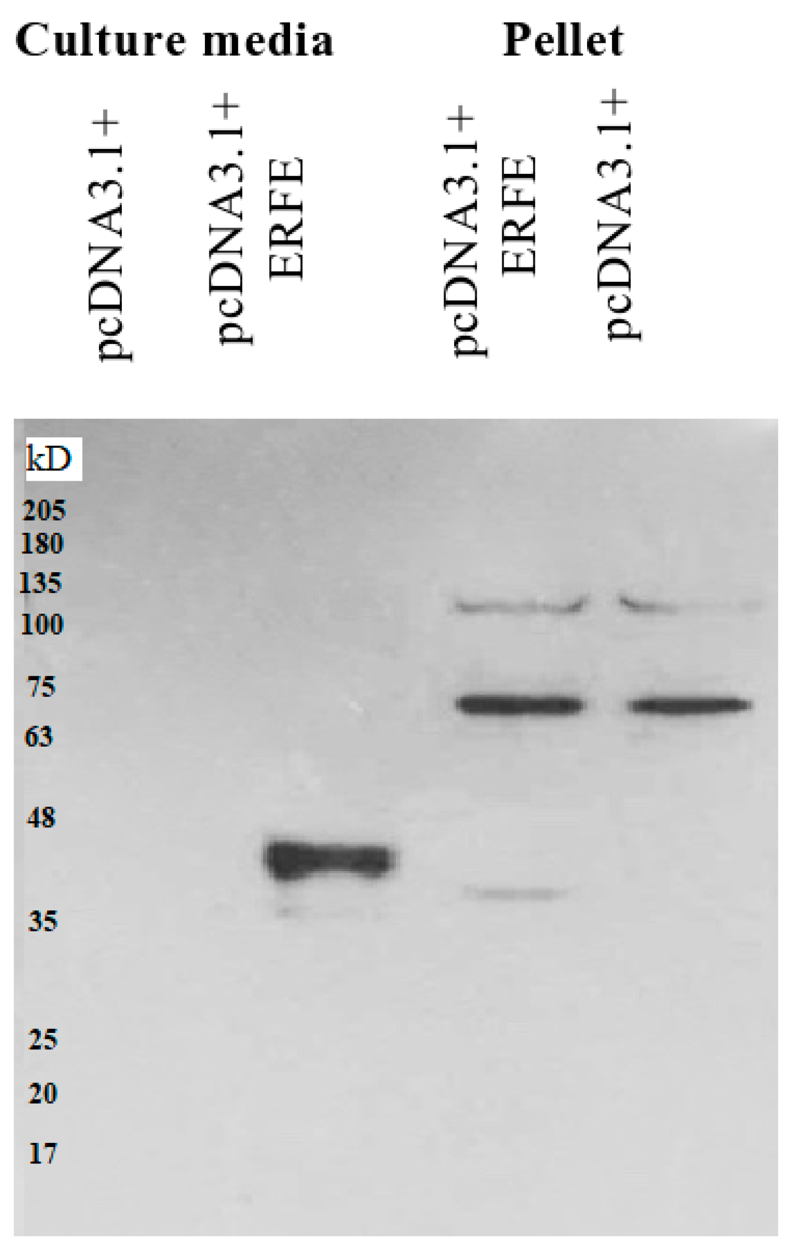 Materials 14 06480 g001 Materials 14 06480 g001
