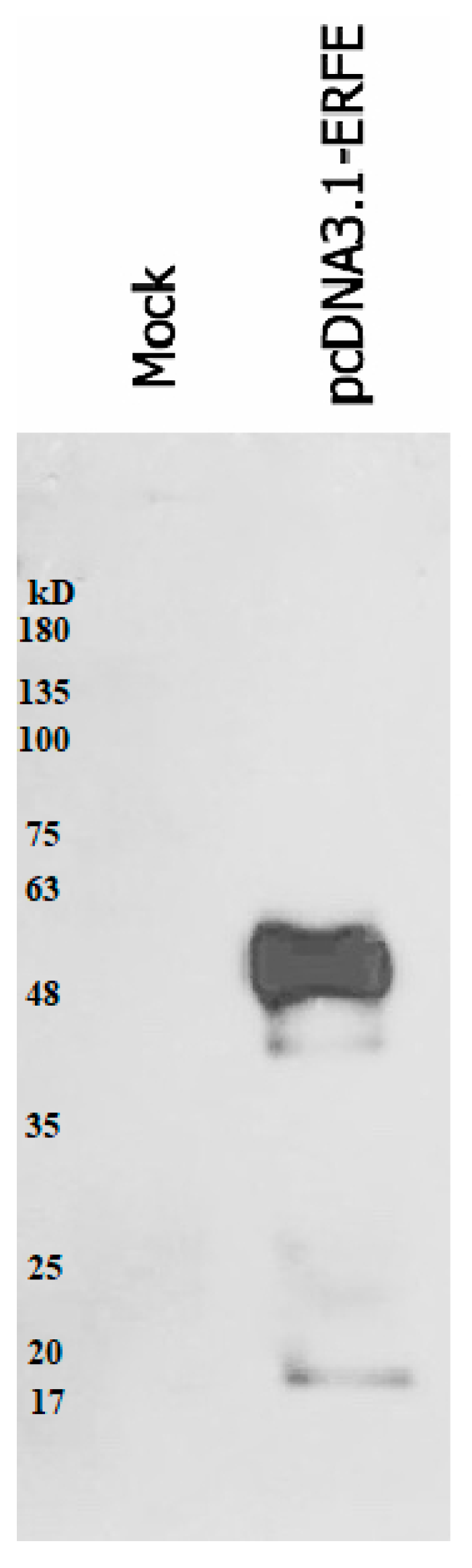 Materials 14 06480 g002 Materials 14 06480 g002