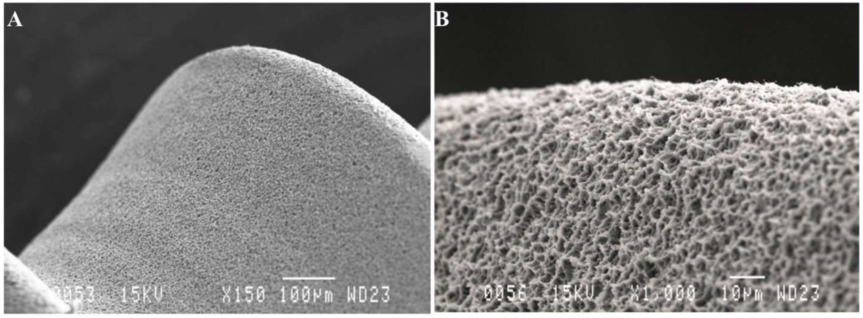 Materials 14 06483 g002