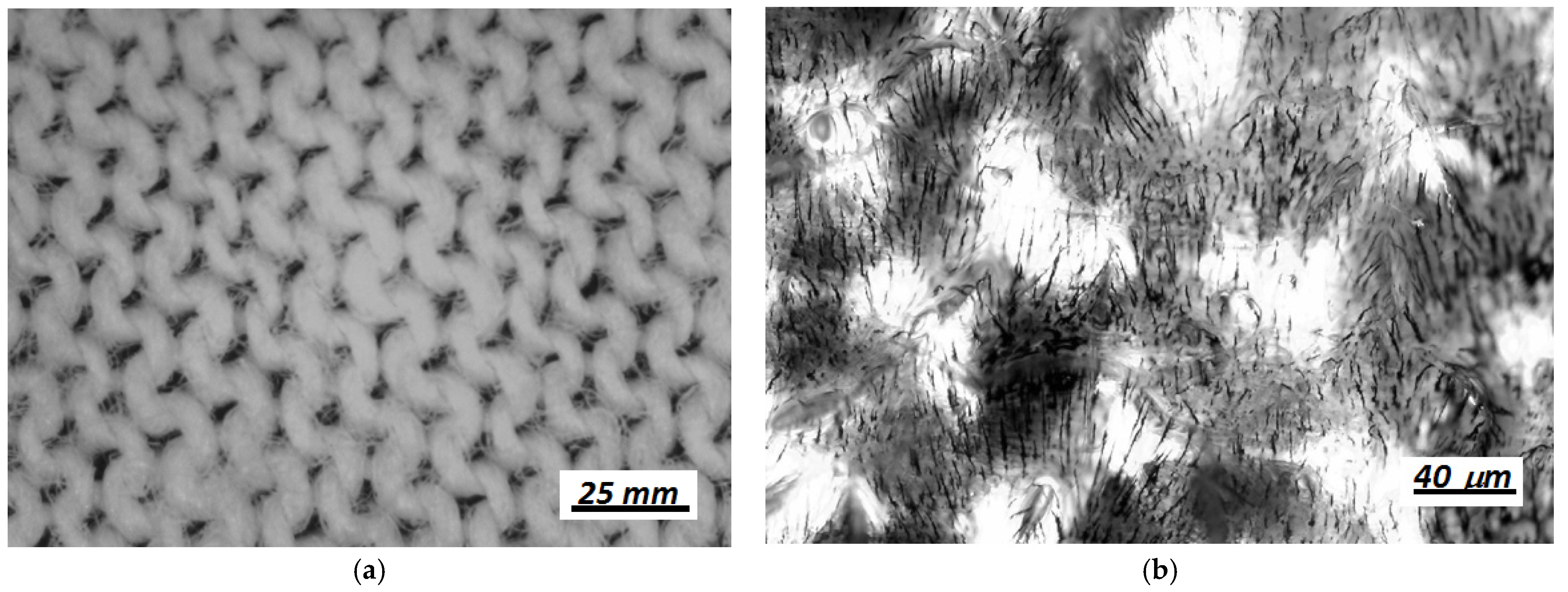 Materials 14 06498 g002