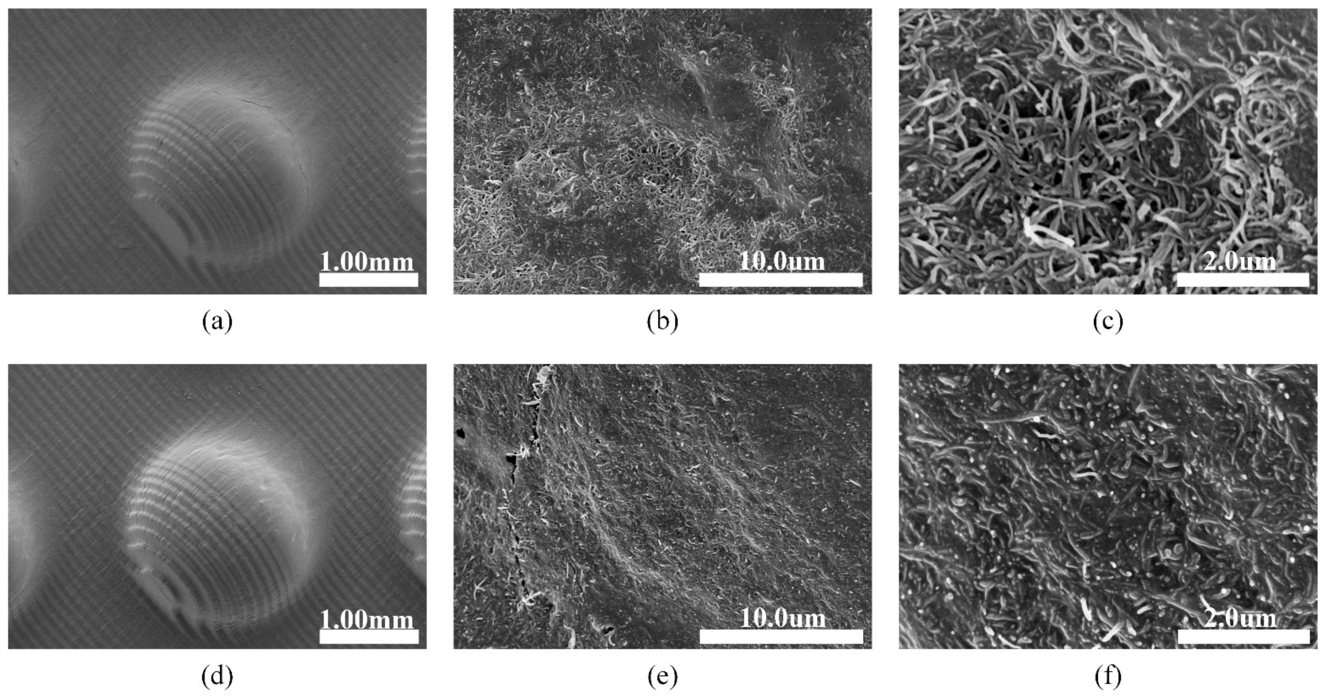 Materials 14 06499 g012 550