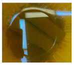 Materials 14 06501 i010