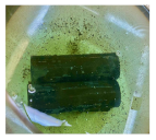 Materials 14 06501 i012