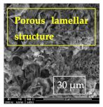 Materials 14 06501 i038