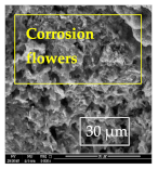 Materials 14 06501 i040