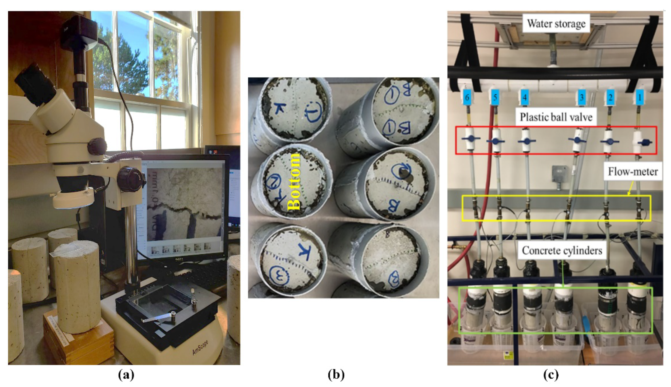 Materials 14 06508 g005 550