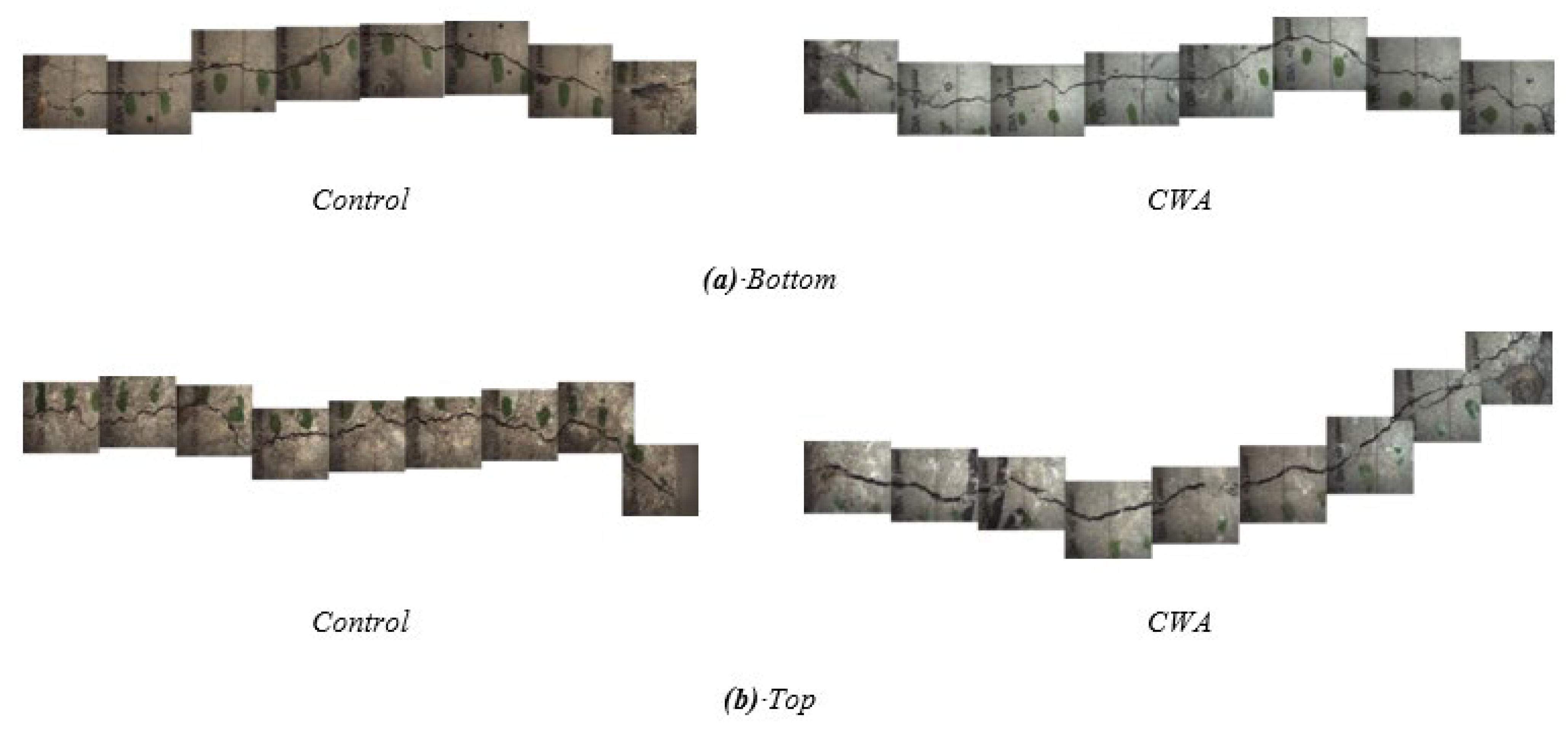 Materials 14 06508 g015 550