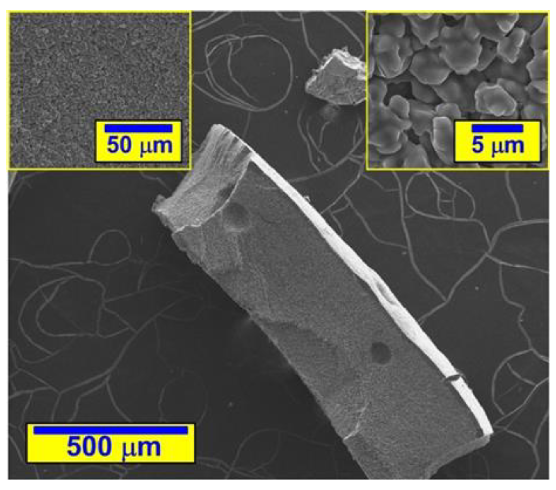 Materials 14 06514 g001