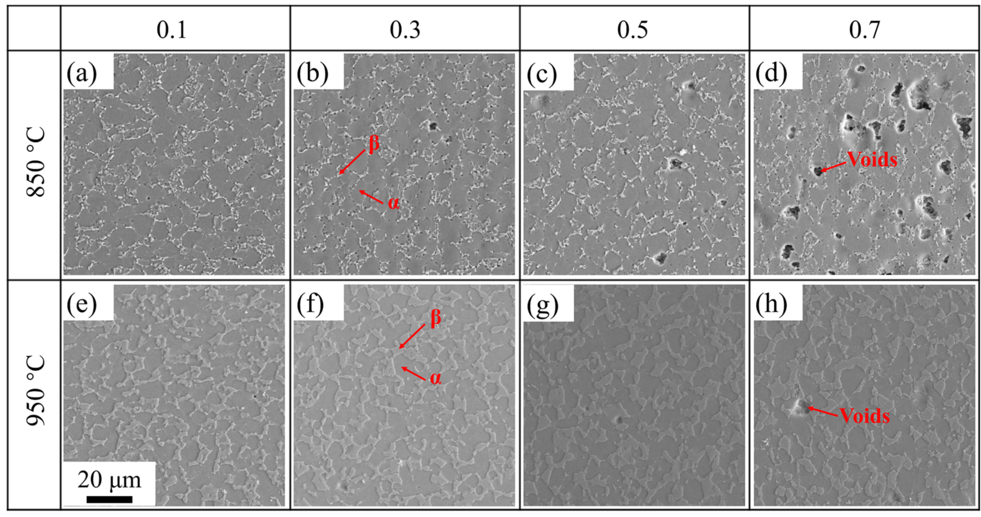 Materials 14 06515 g007