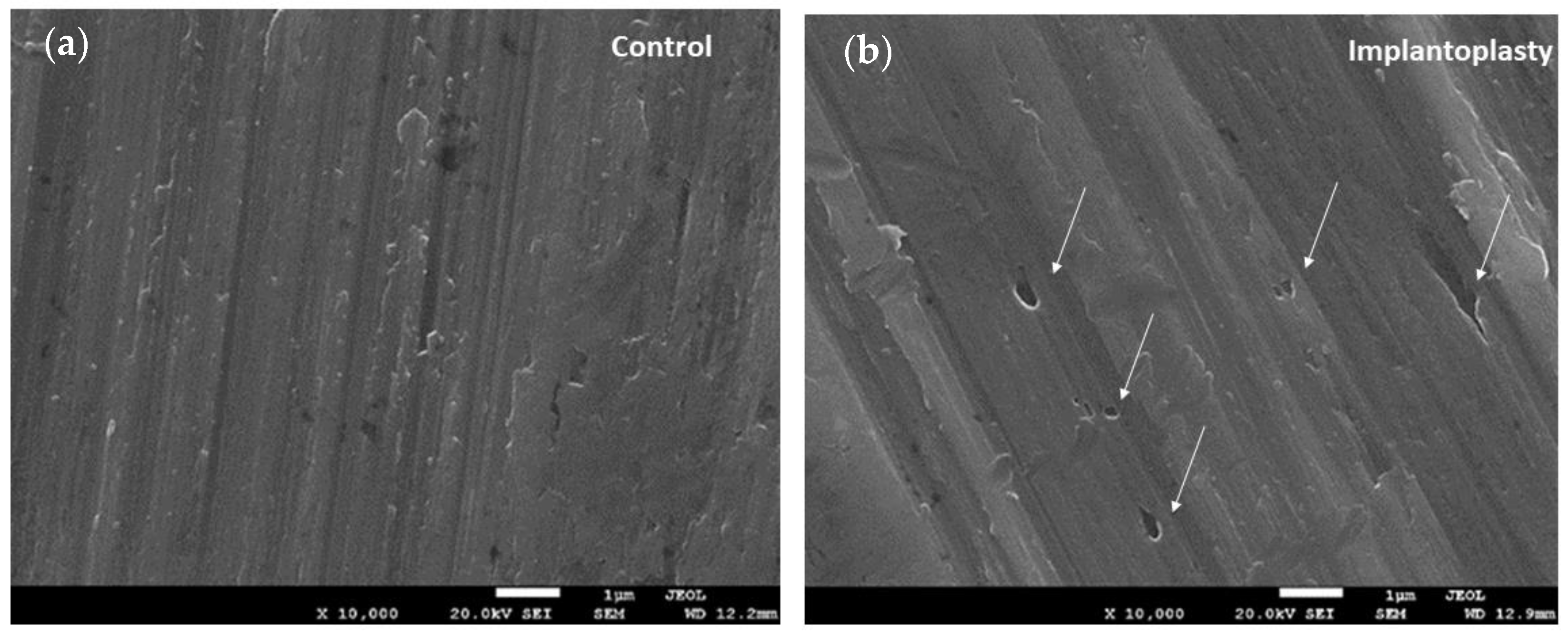 Materials 14 06519 g007