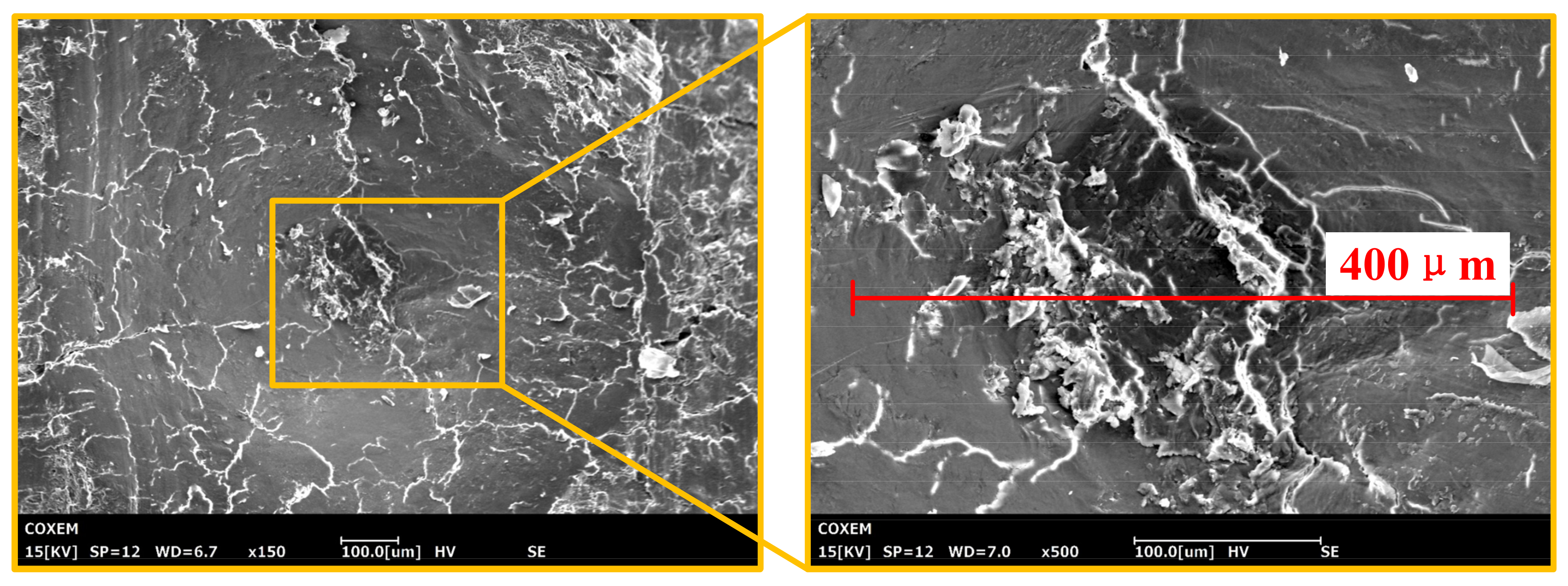 Materials 14 06530 g004 550