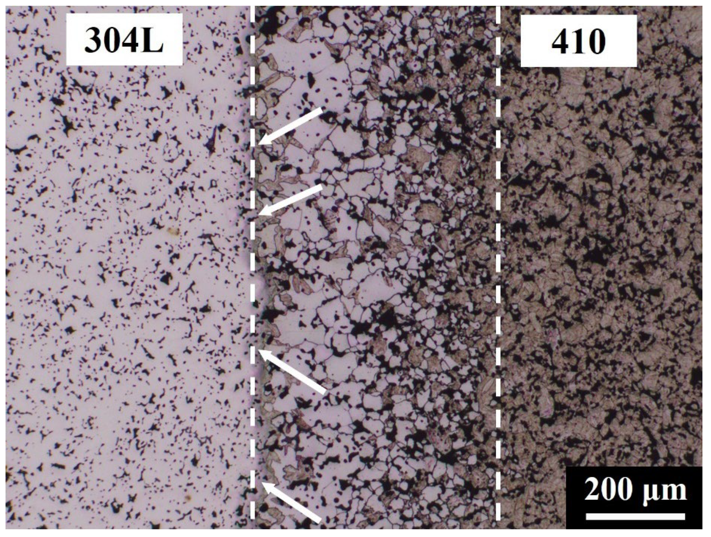 Materials 14 06533 g005 550