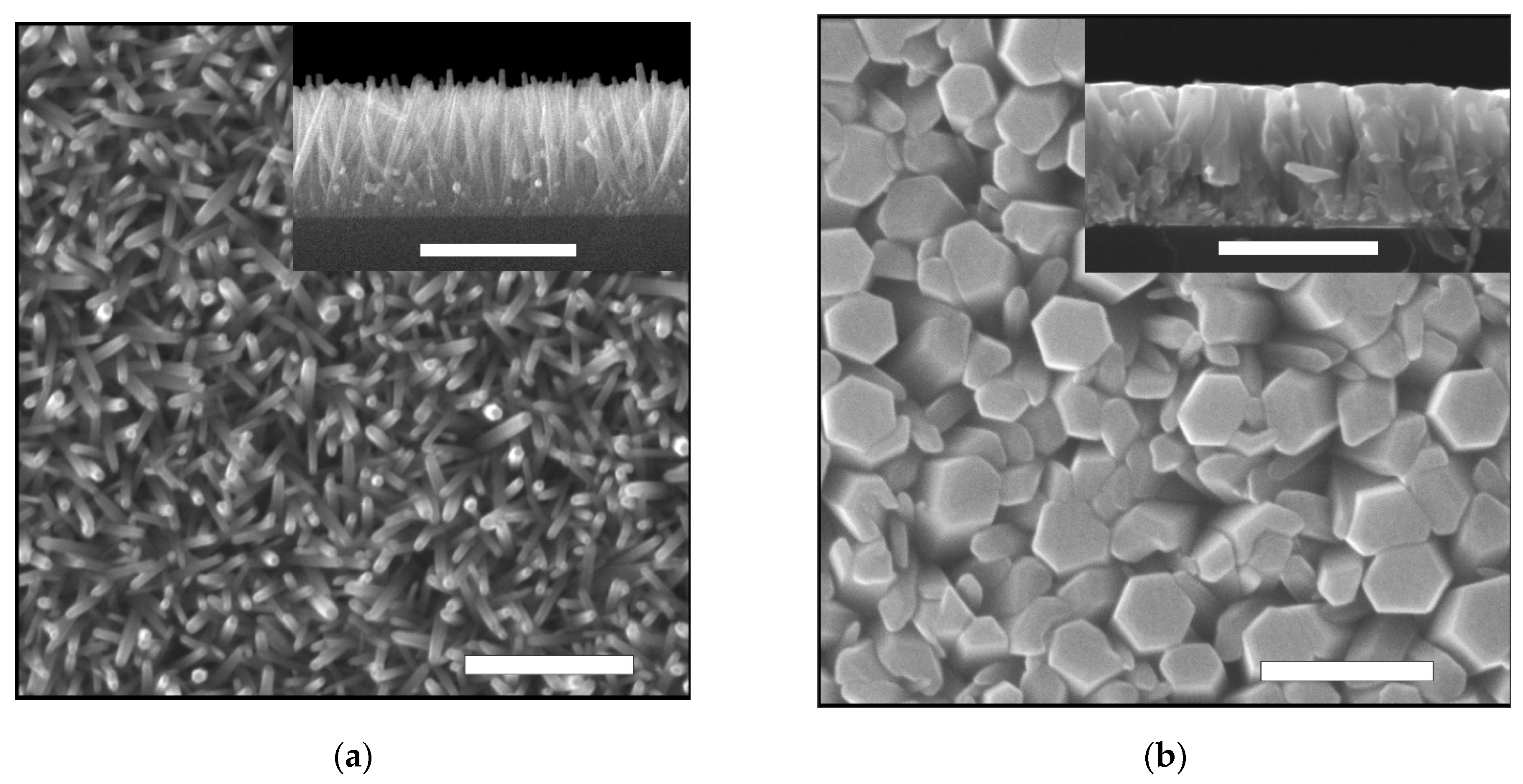 Materials 14 06535 g001a 550