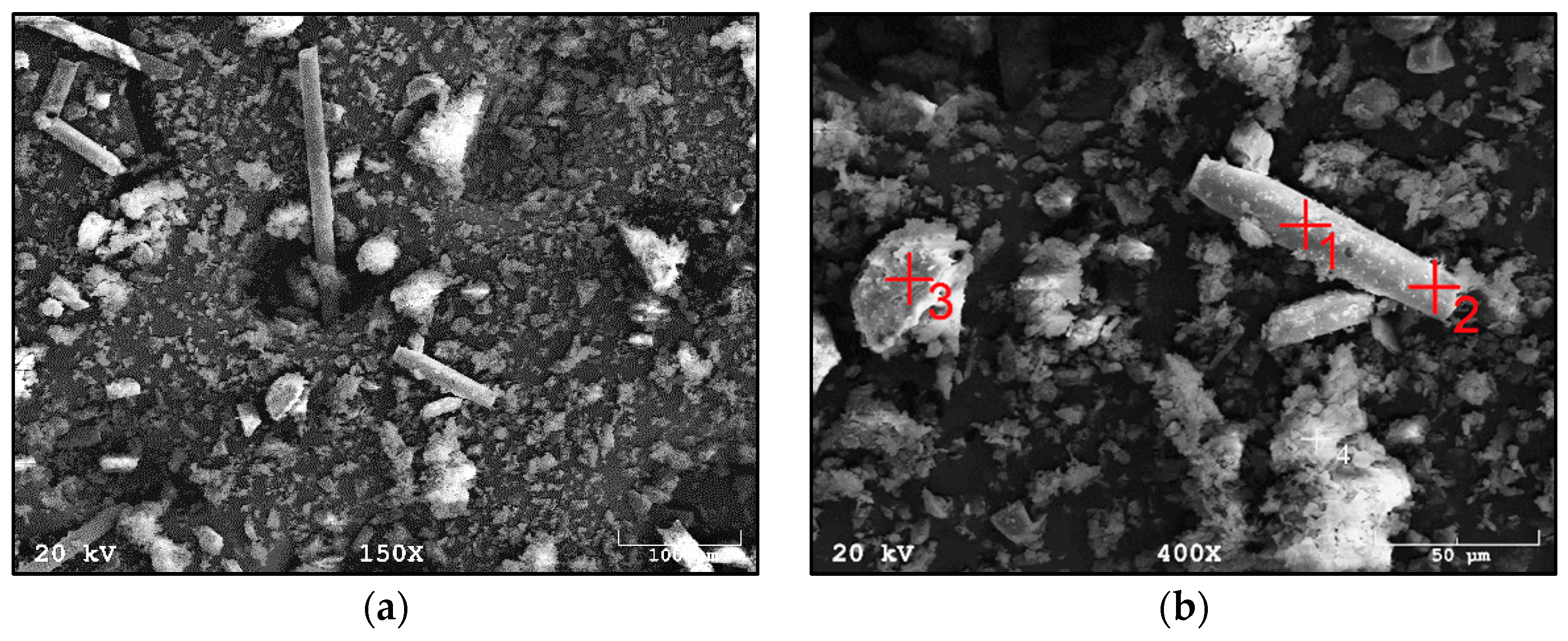 Materials 14 06539 g005 550