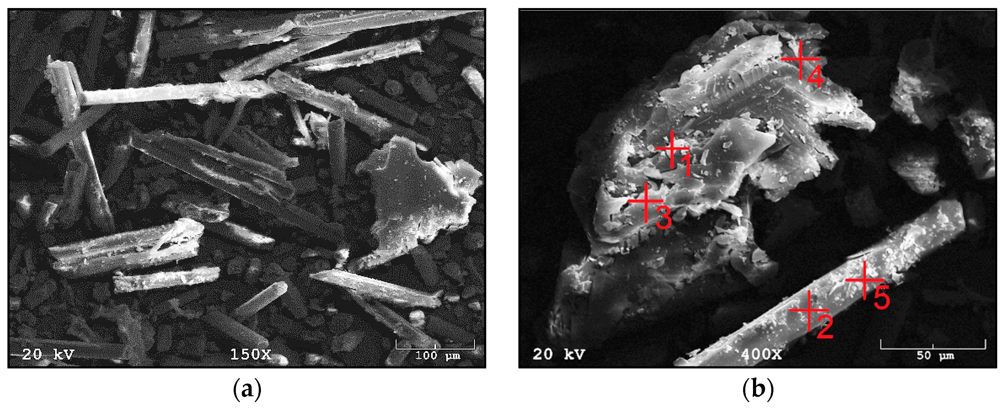 Materials 14 06539 g007 550