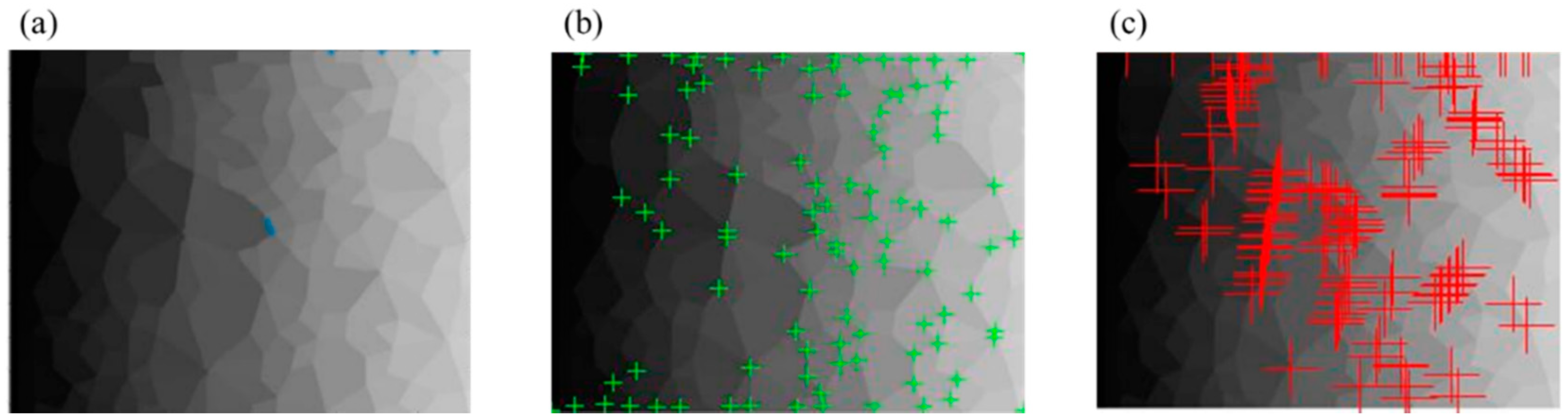 Materials 14 06542 g009 550