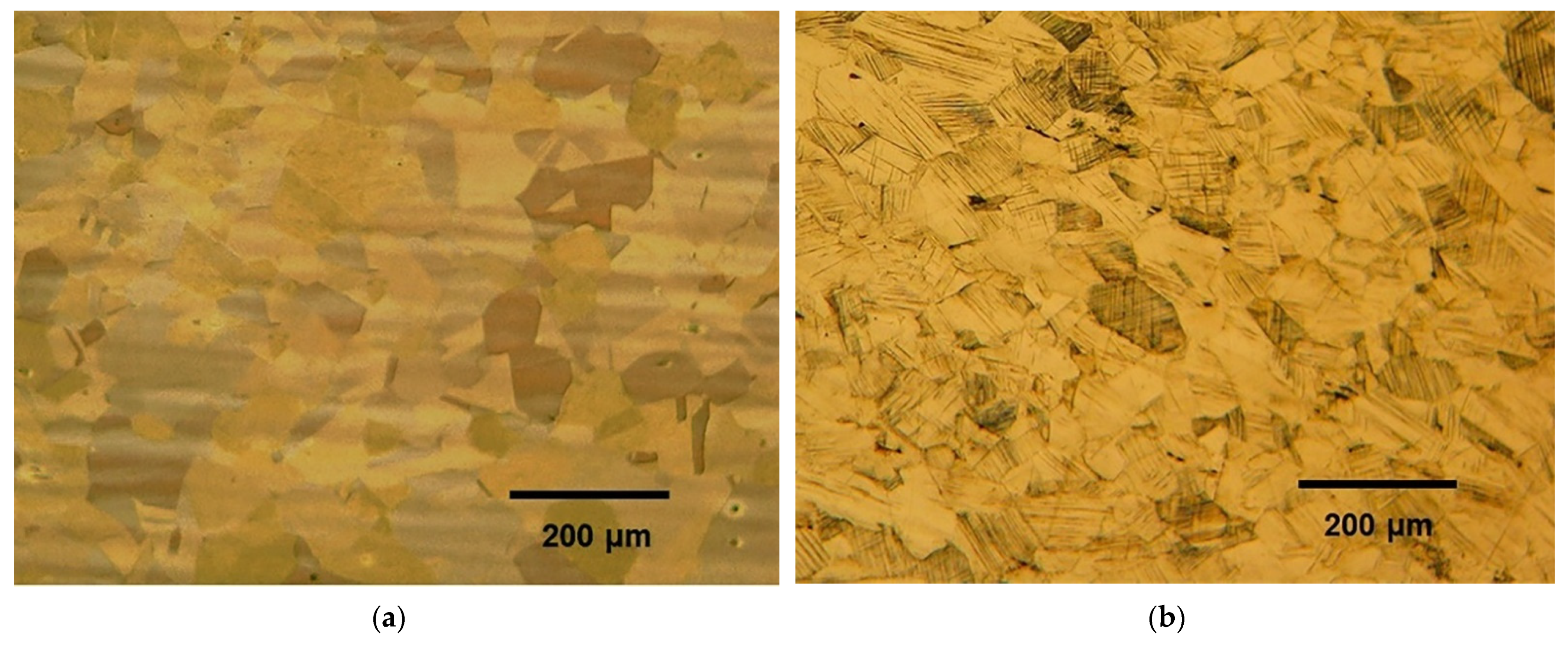 Materials 14 06559 g002a