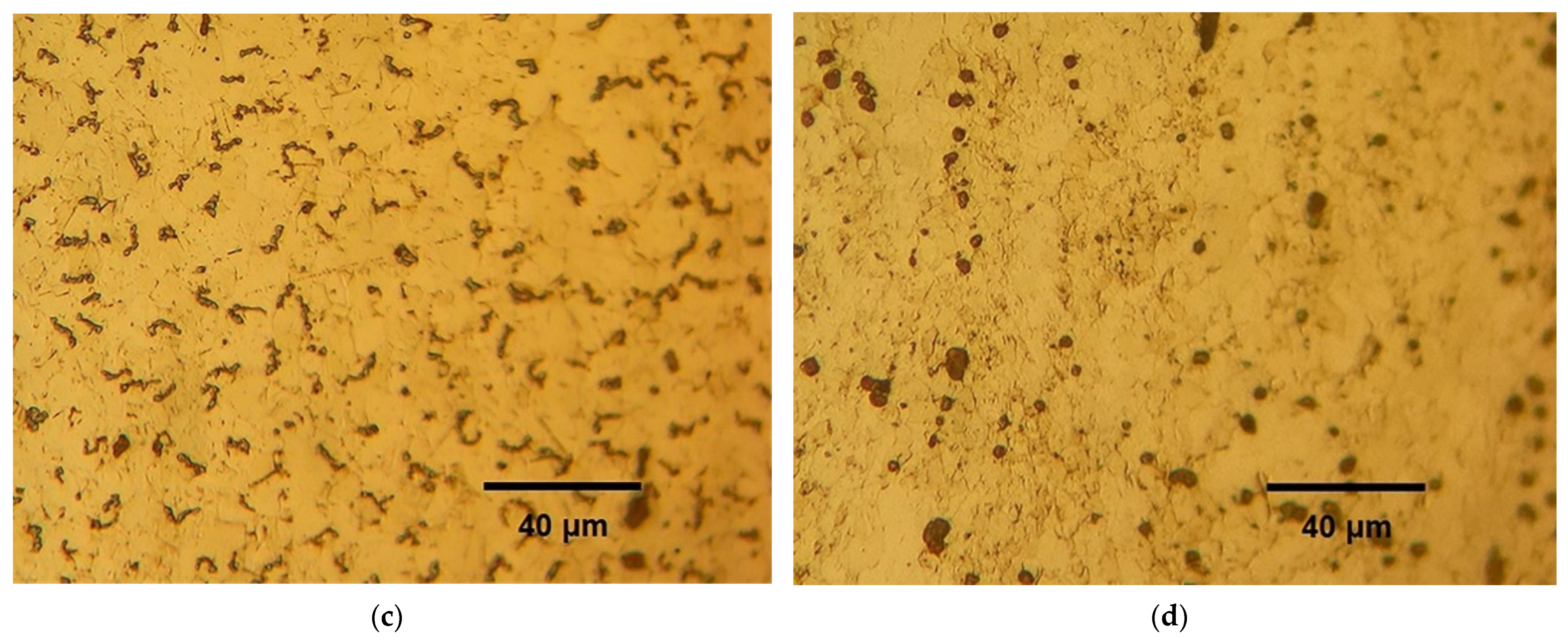 Materials 14 06559 g006b