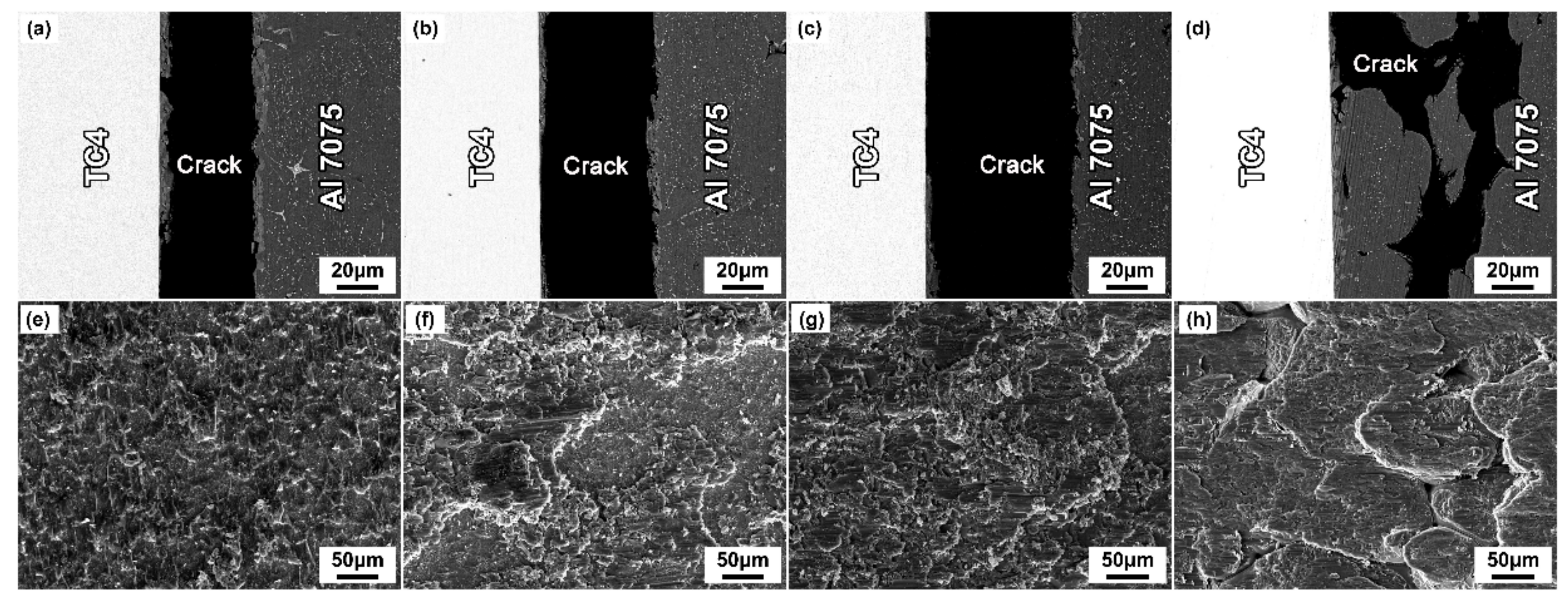 Materials 14 06570 g008
