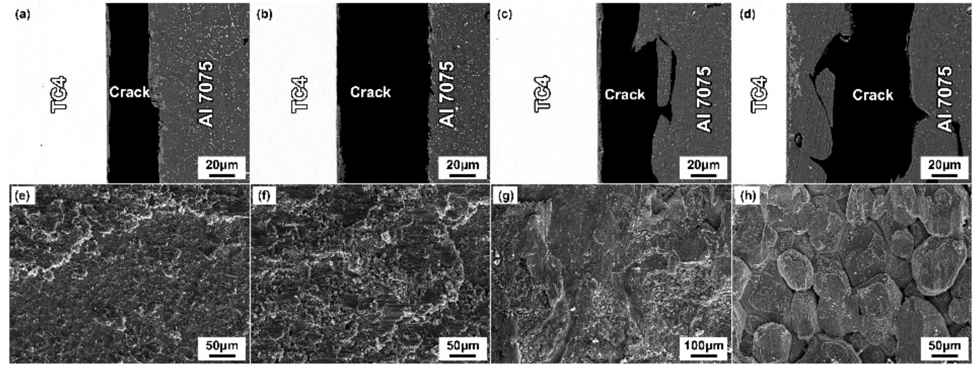 Materials 14 06570 g009