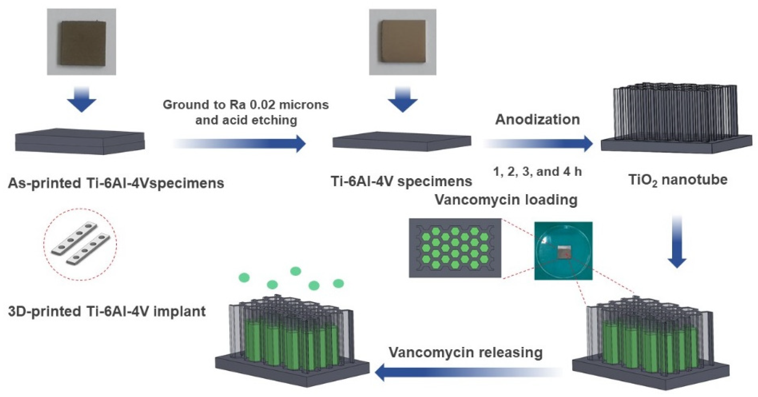 Materials 14 06576 g001