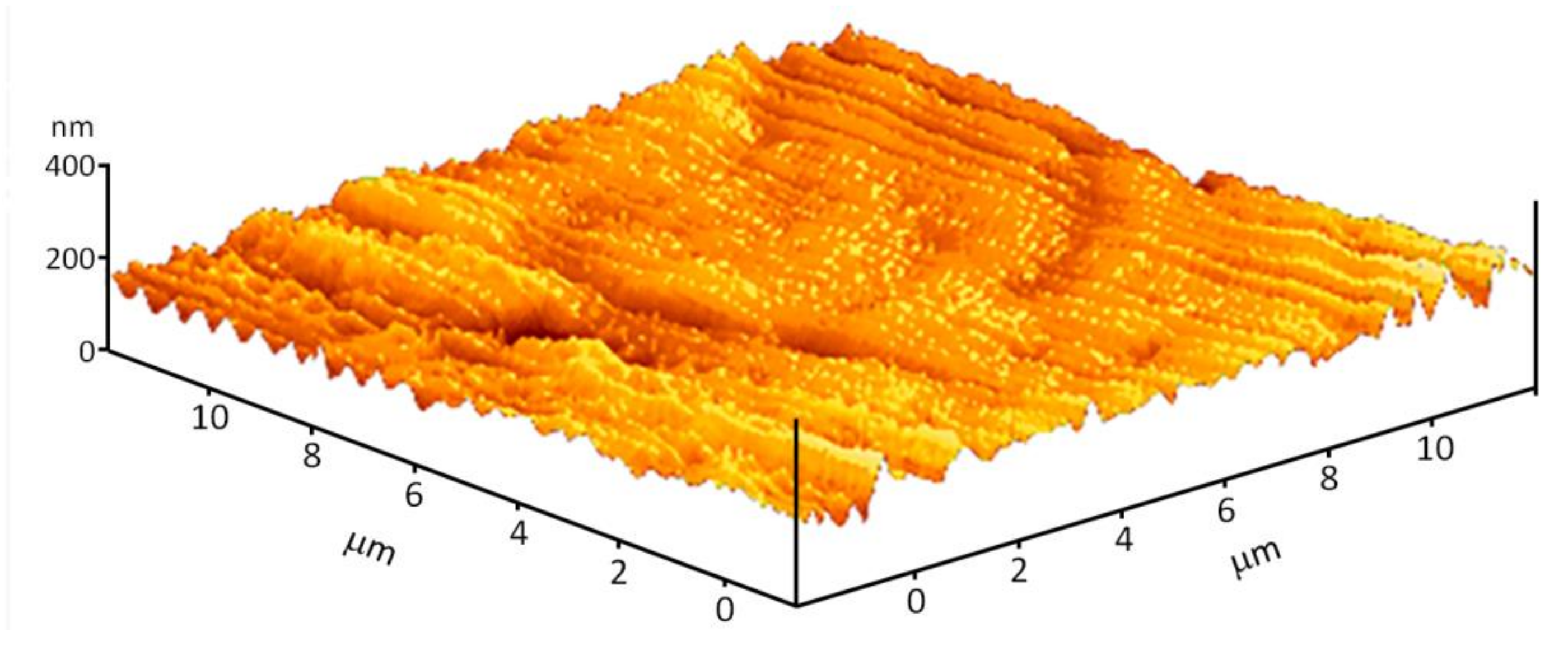 Materials 14 06586 g006 550