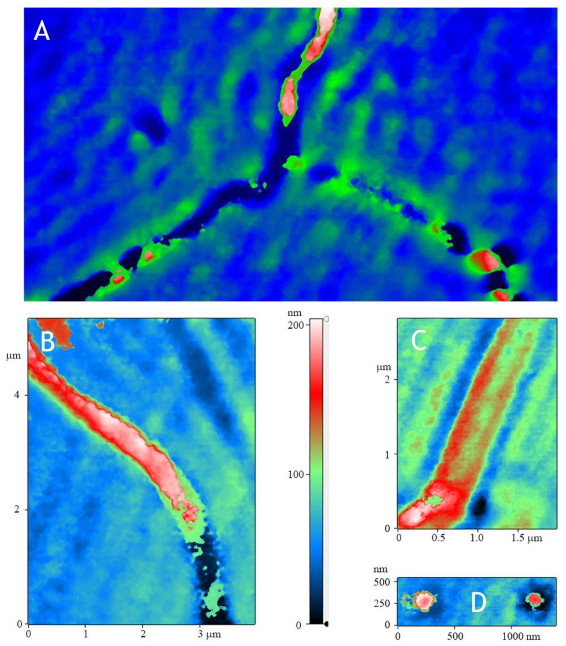 Materials 14 06586 g007 550