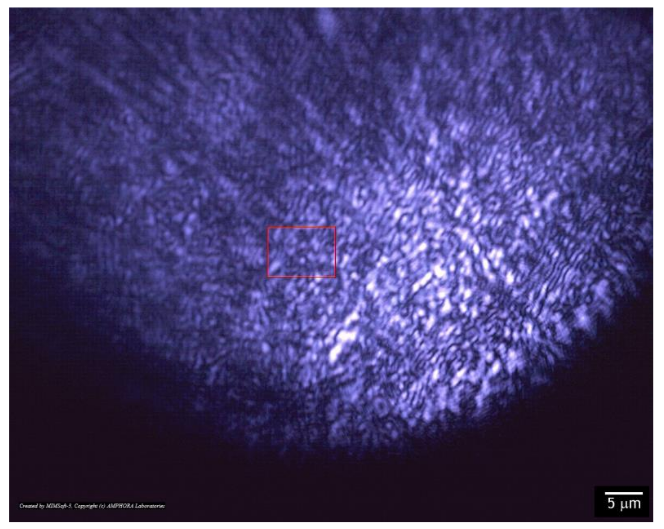 Materials 14 06586 g008 550