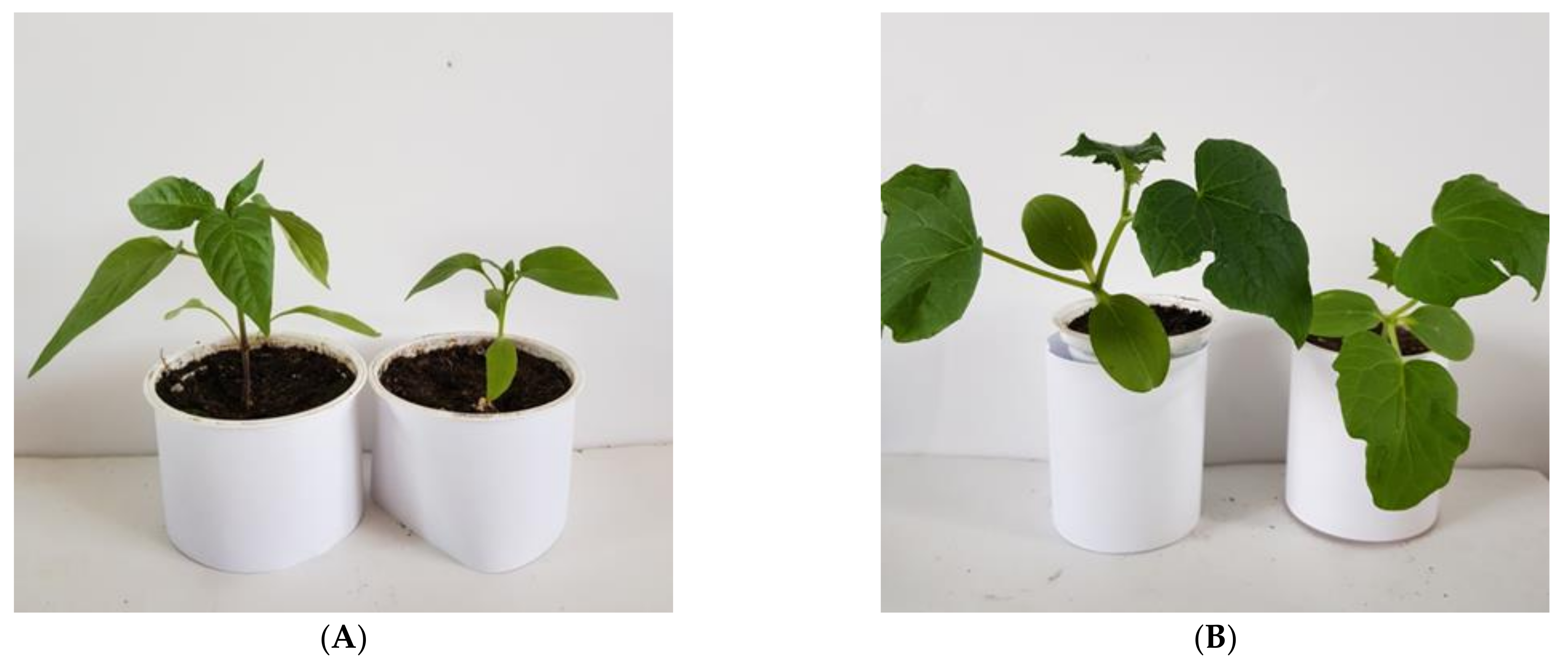 Materials 14 06586 g011 550