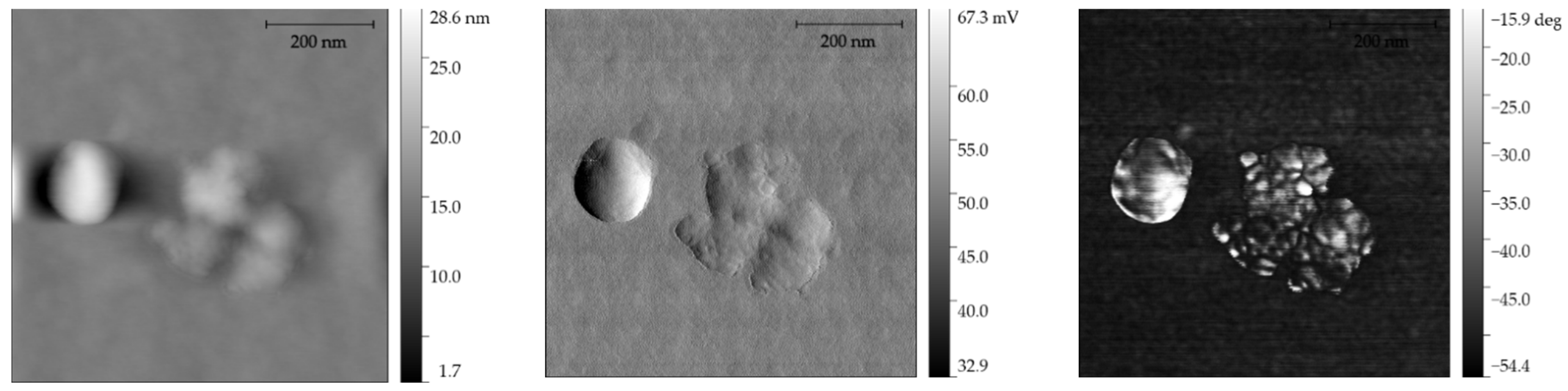 Materials 14 06597 g007