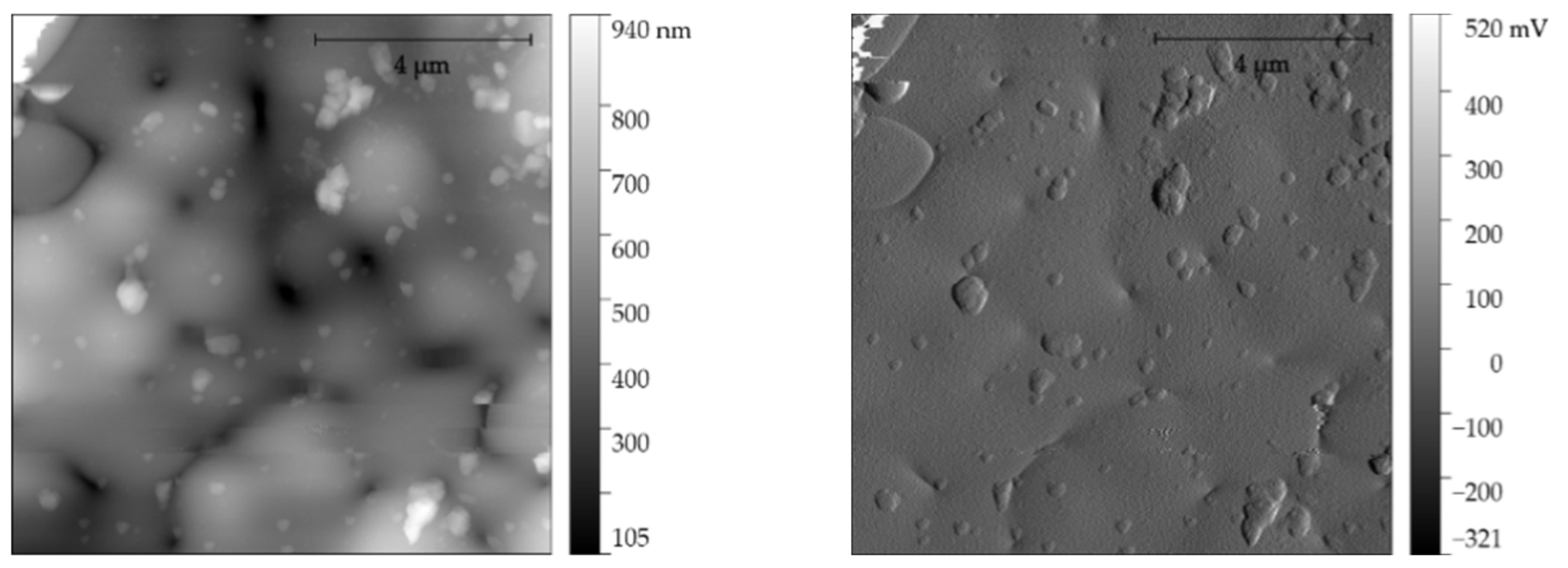 Materials 14 06597 g008