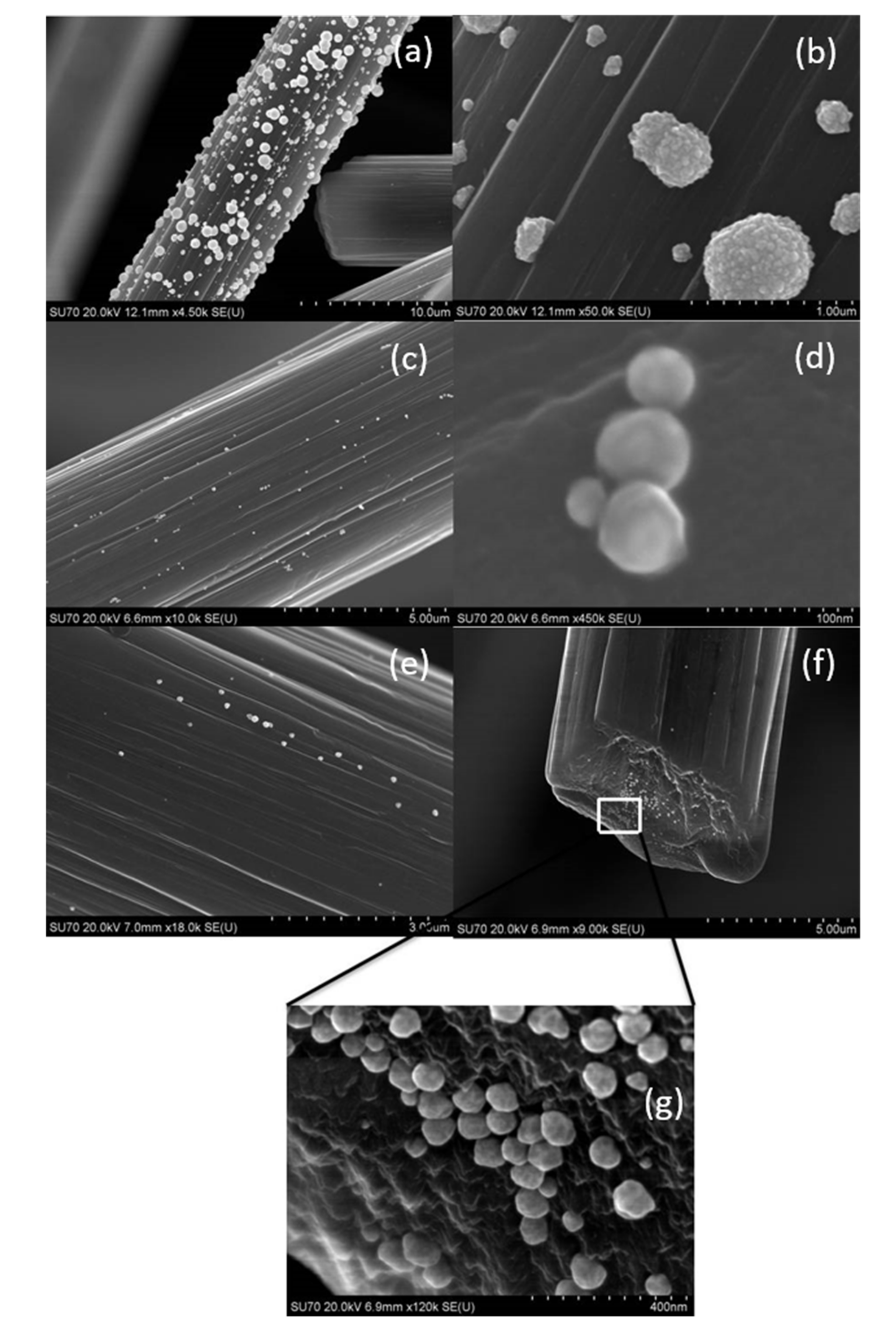 Materials 14 06598 g005