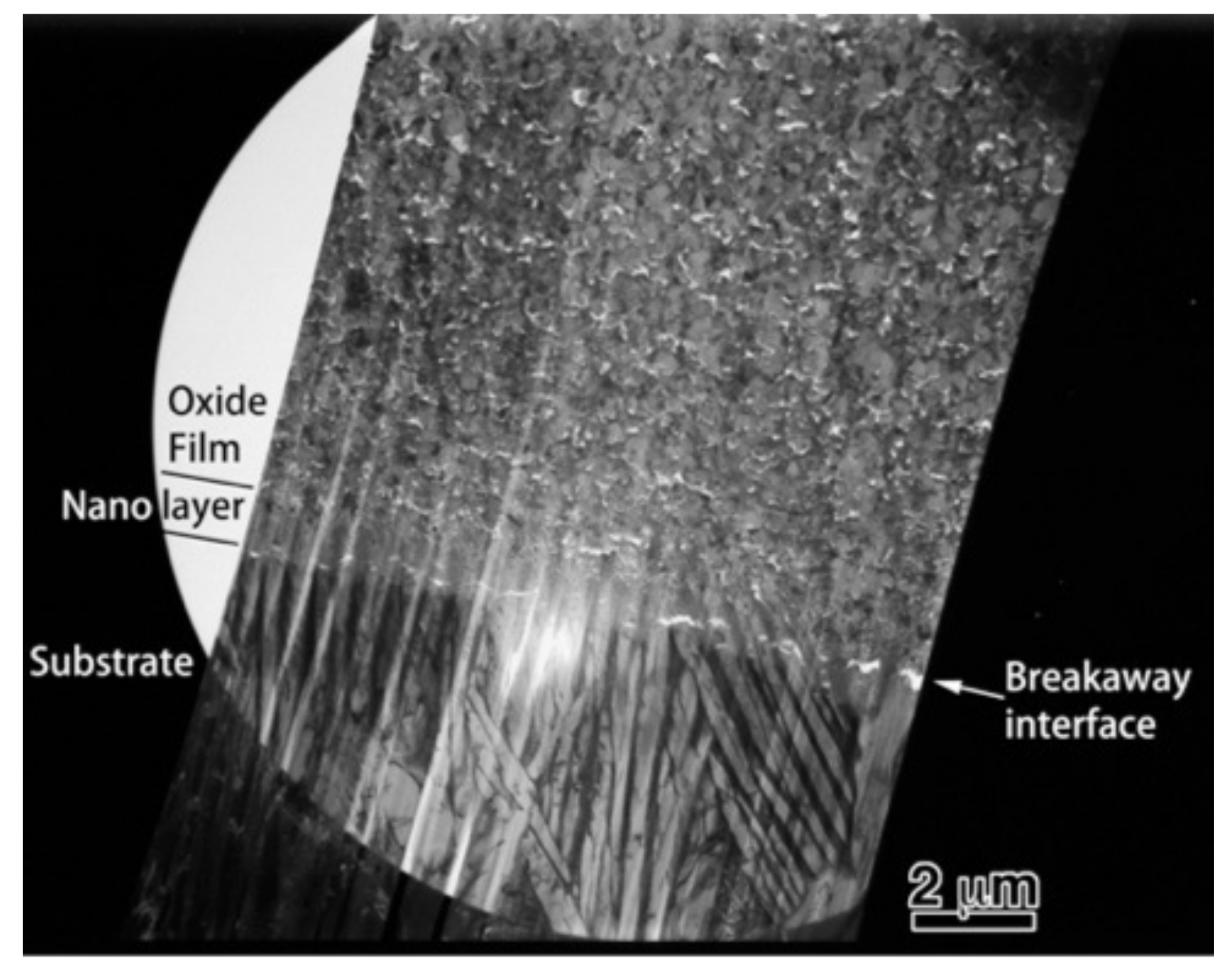 Materials 14 06599 g010