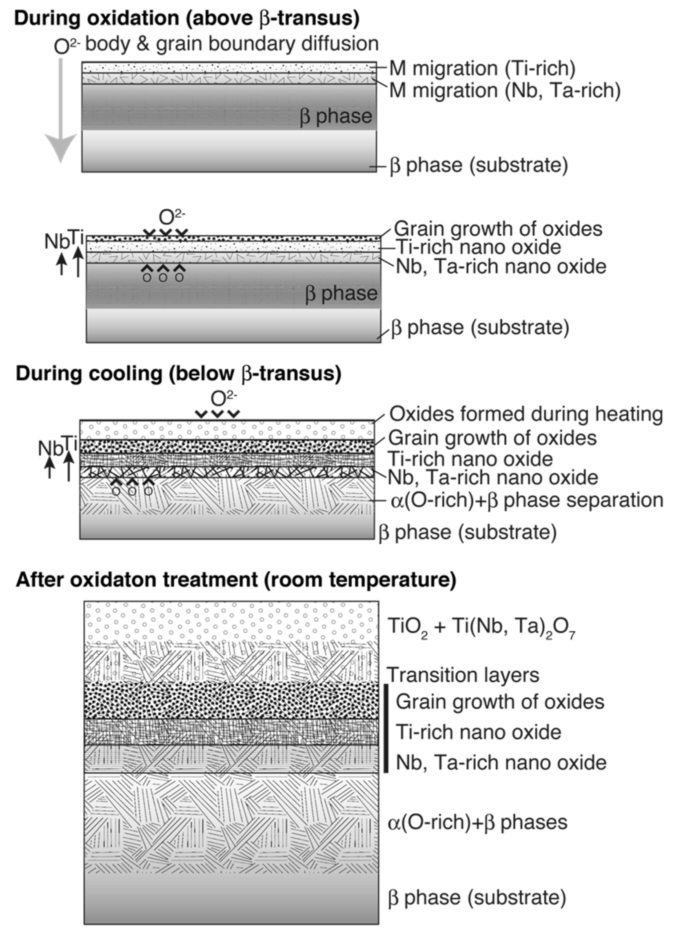 Materials 14 06599 g014