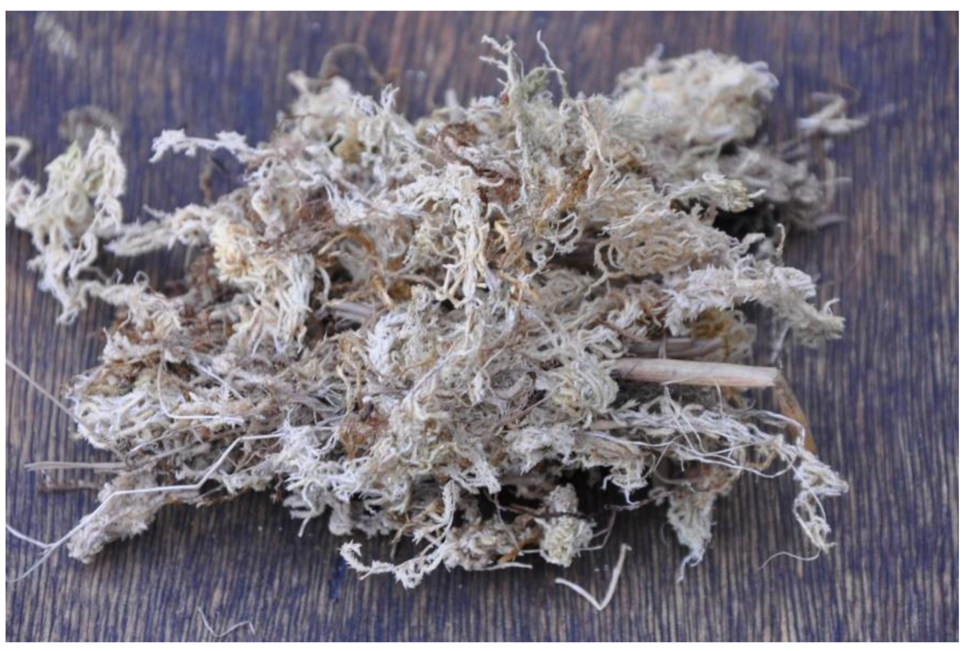 Materials 14 06601 g001 550