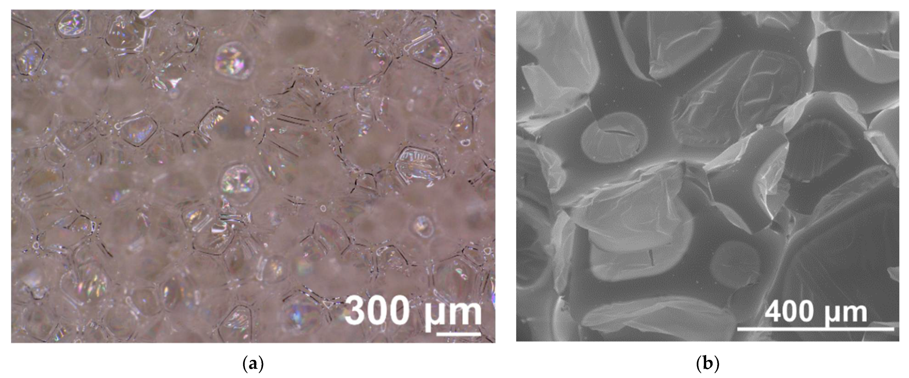 Materials 14 06604 g003 550