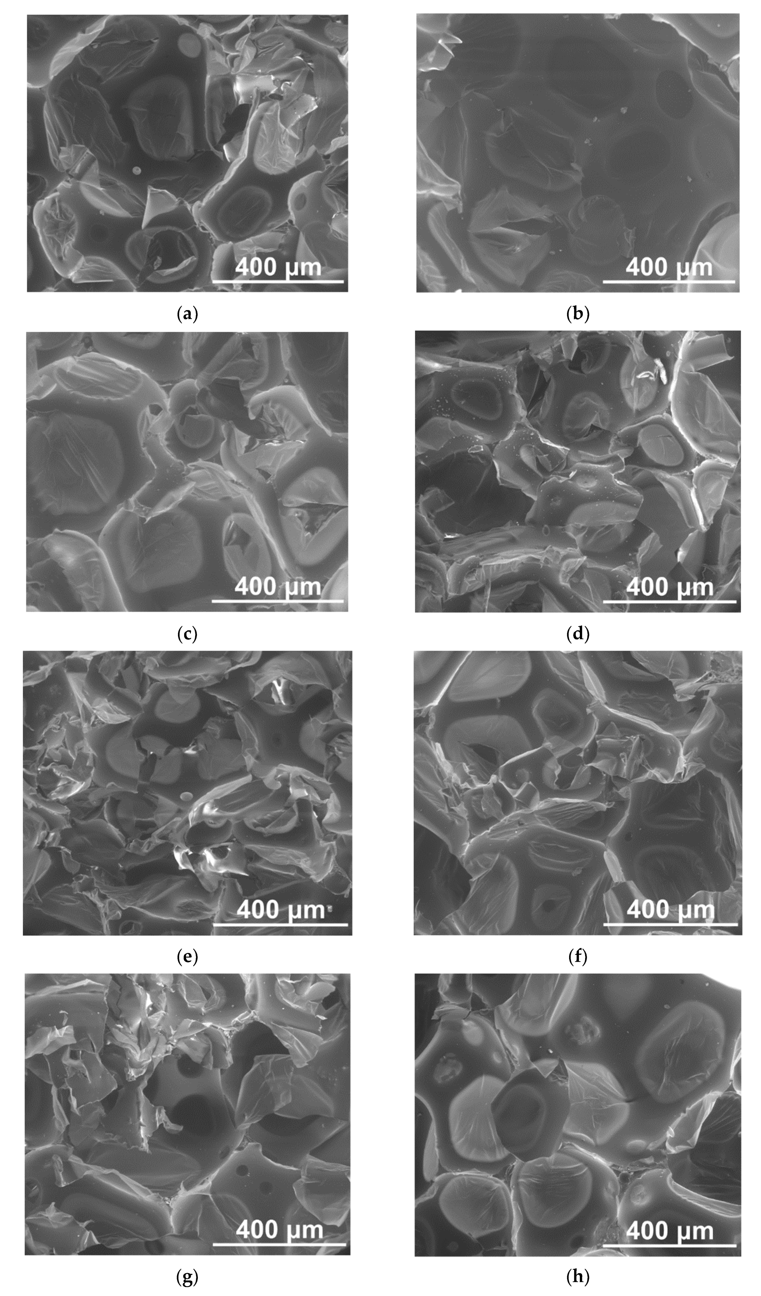 Materials 14 06604 g004 550