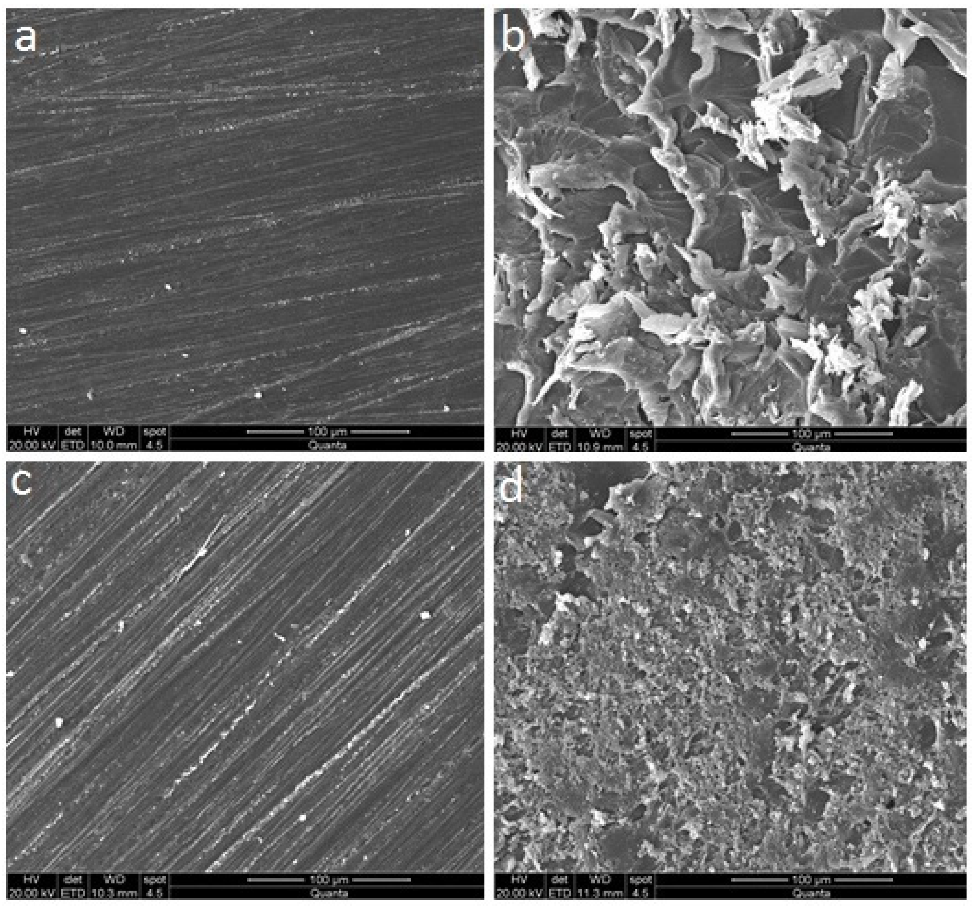 Materials 14 06614 g003