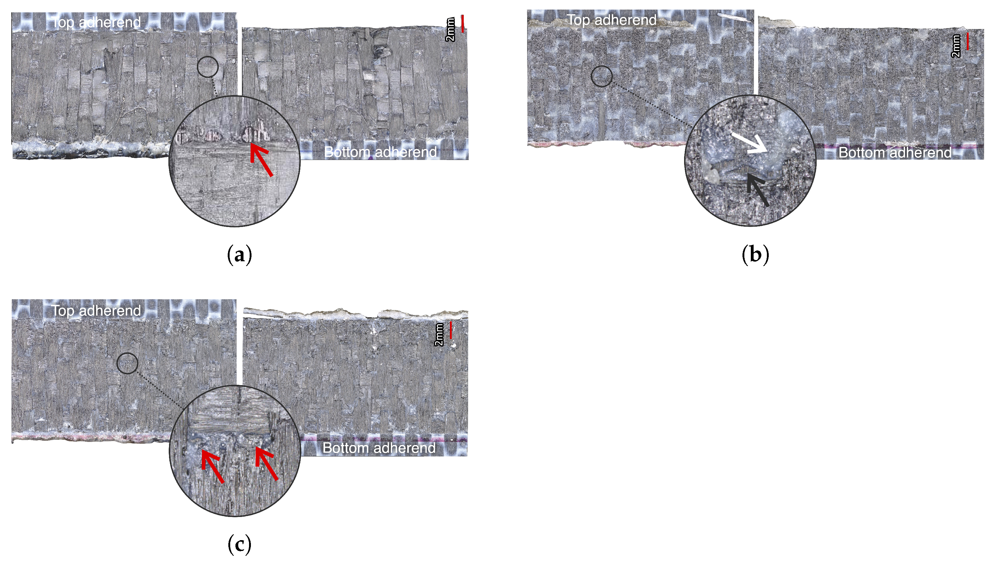Materials 14 06620 g012