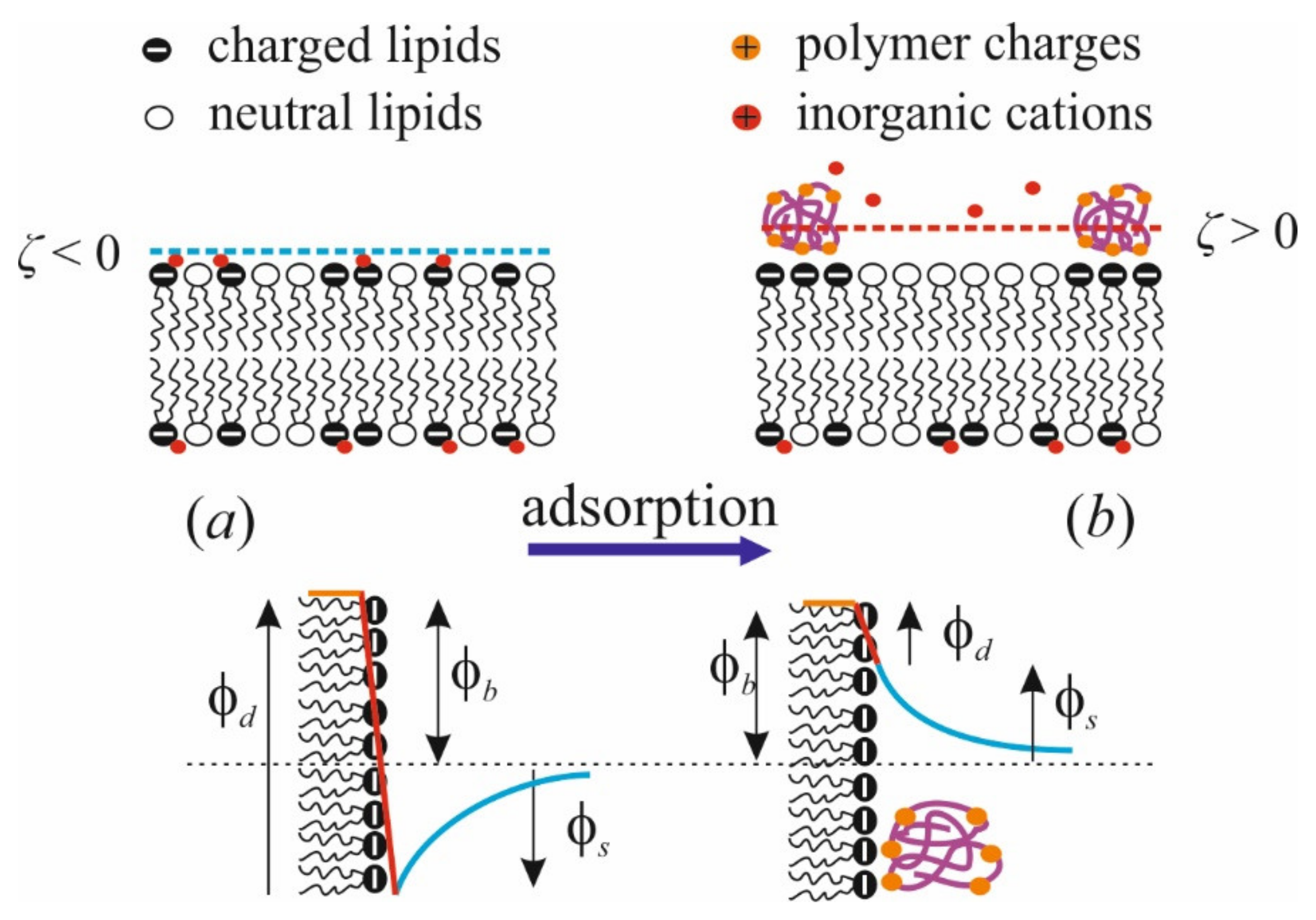 Materials 14 06623 g003 Materials 14 06623 g003