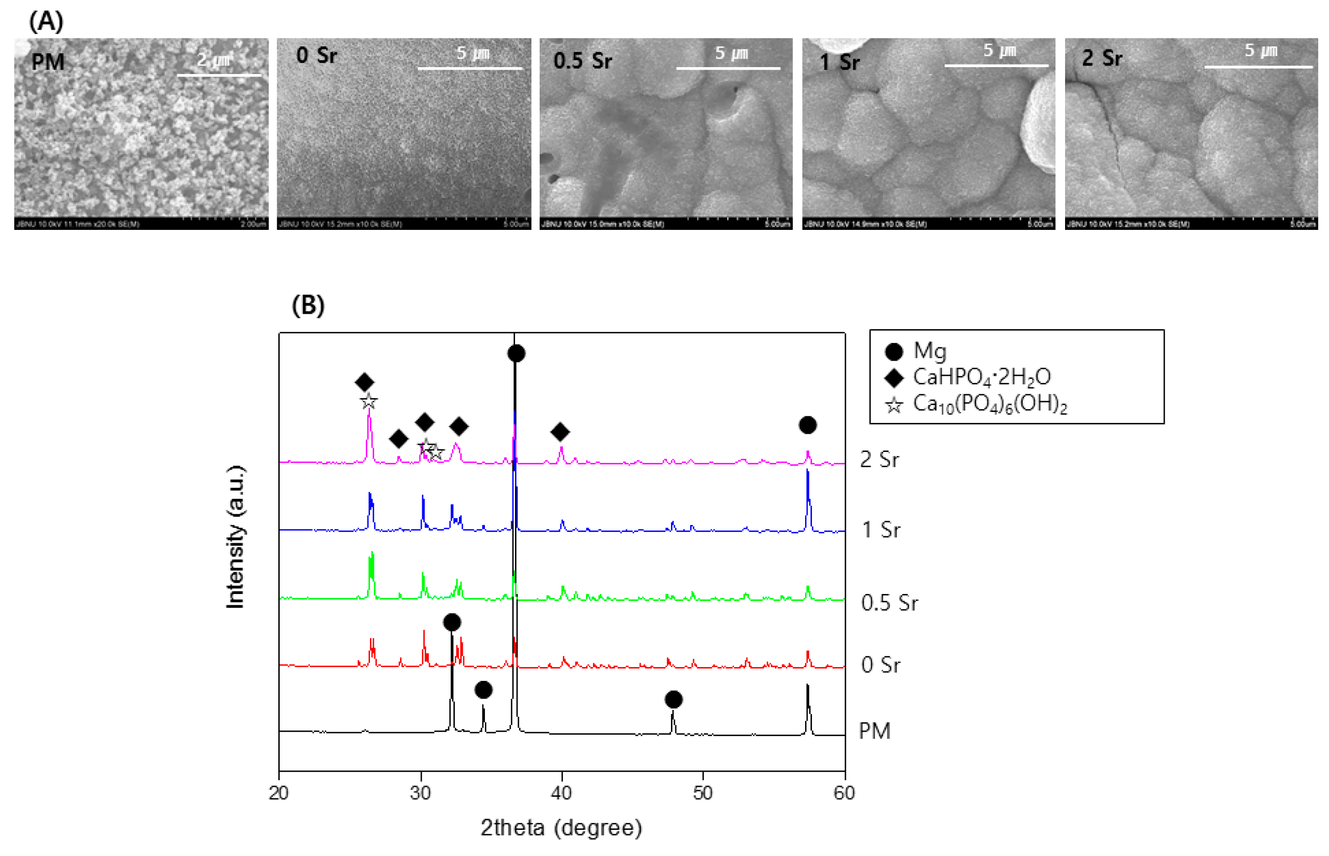 Materials 14 06625 g004 Materials 14 06625 g004