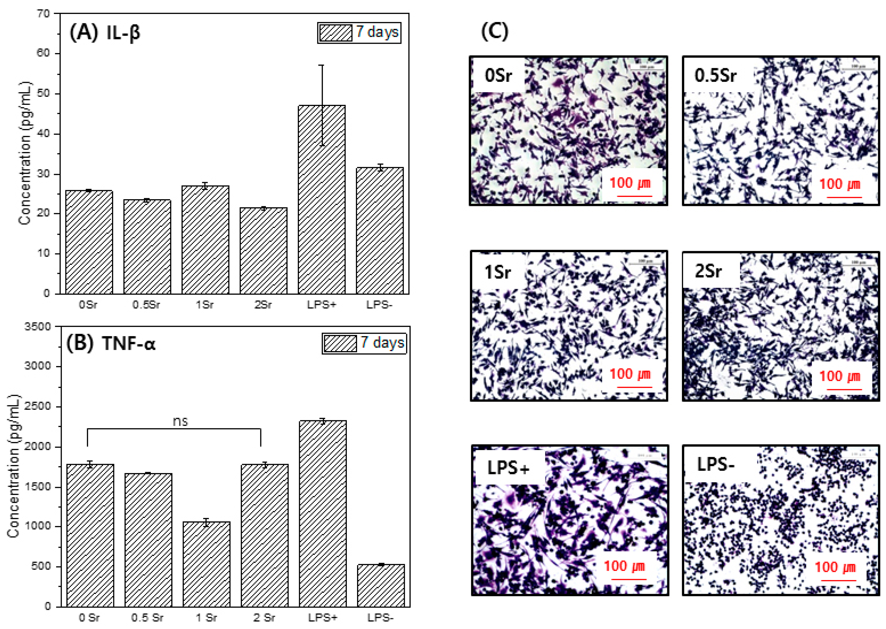Materials 14 06625 g006 Materials 14 06625 g006