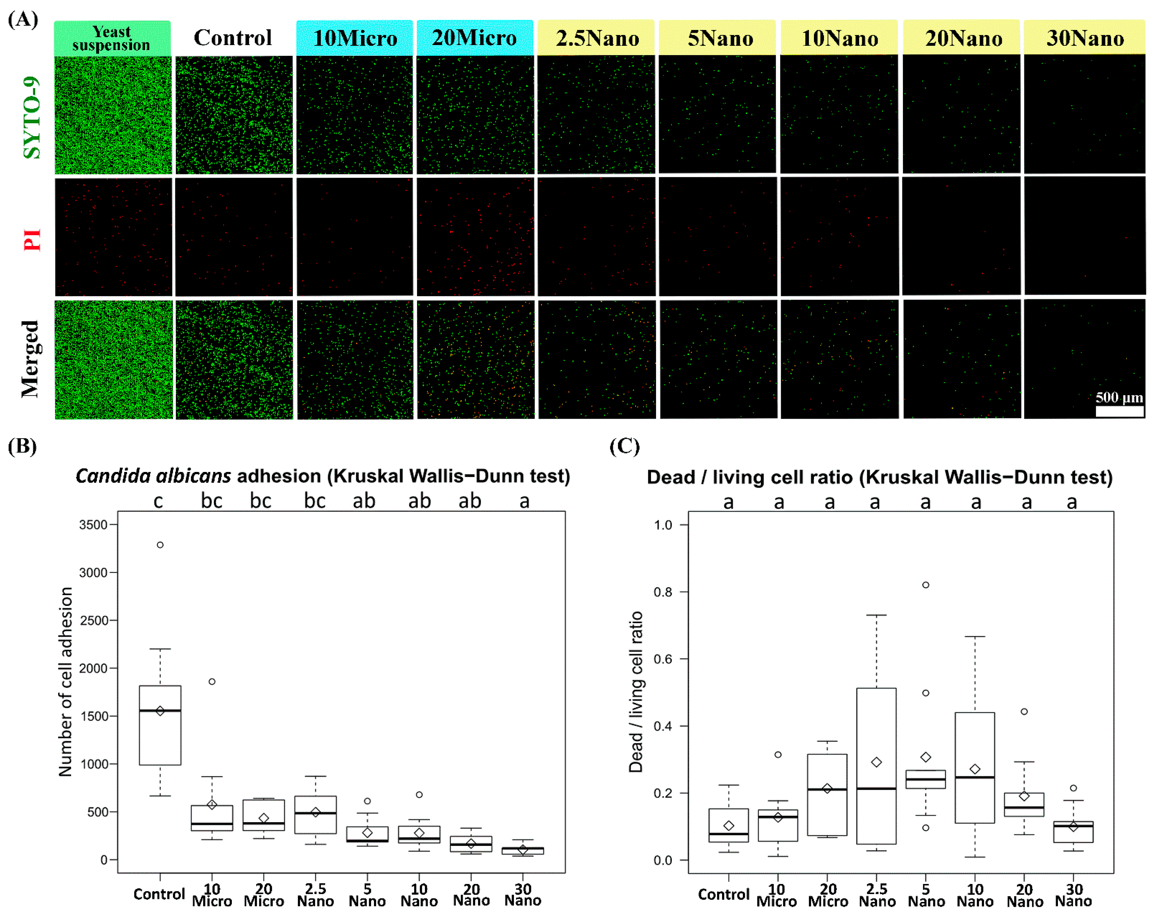 Materials 14 06648 g006