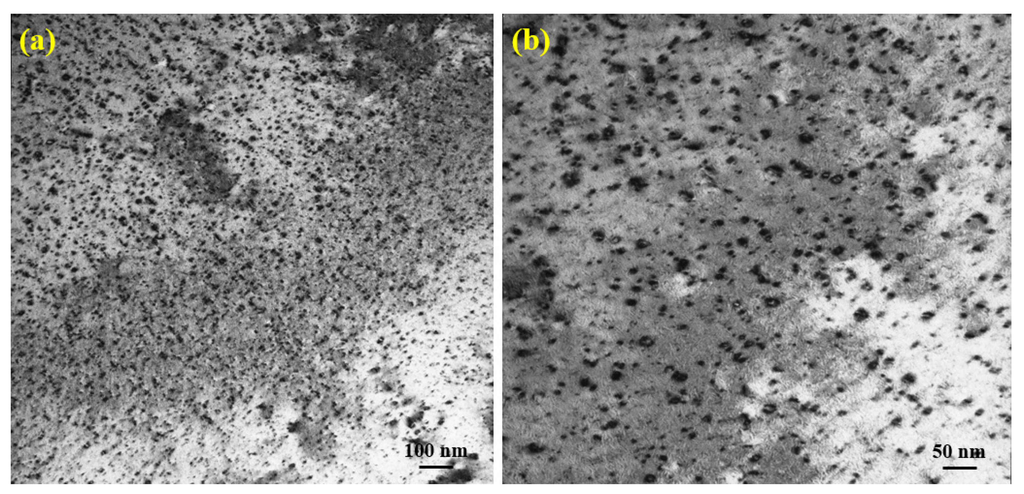 Materials 14 06669 g004 550