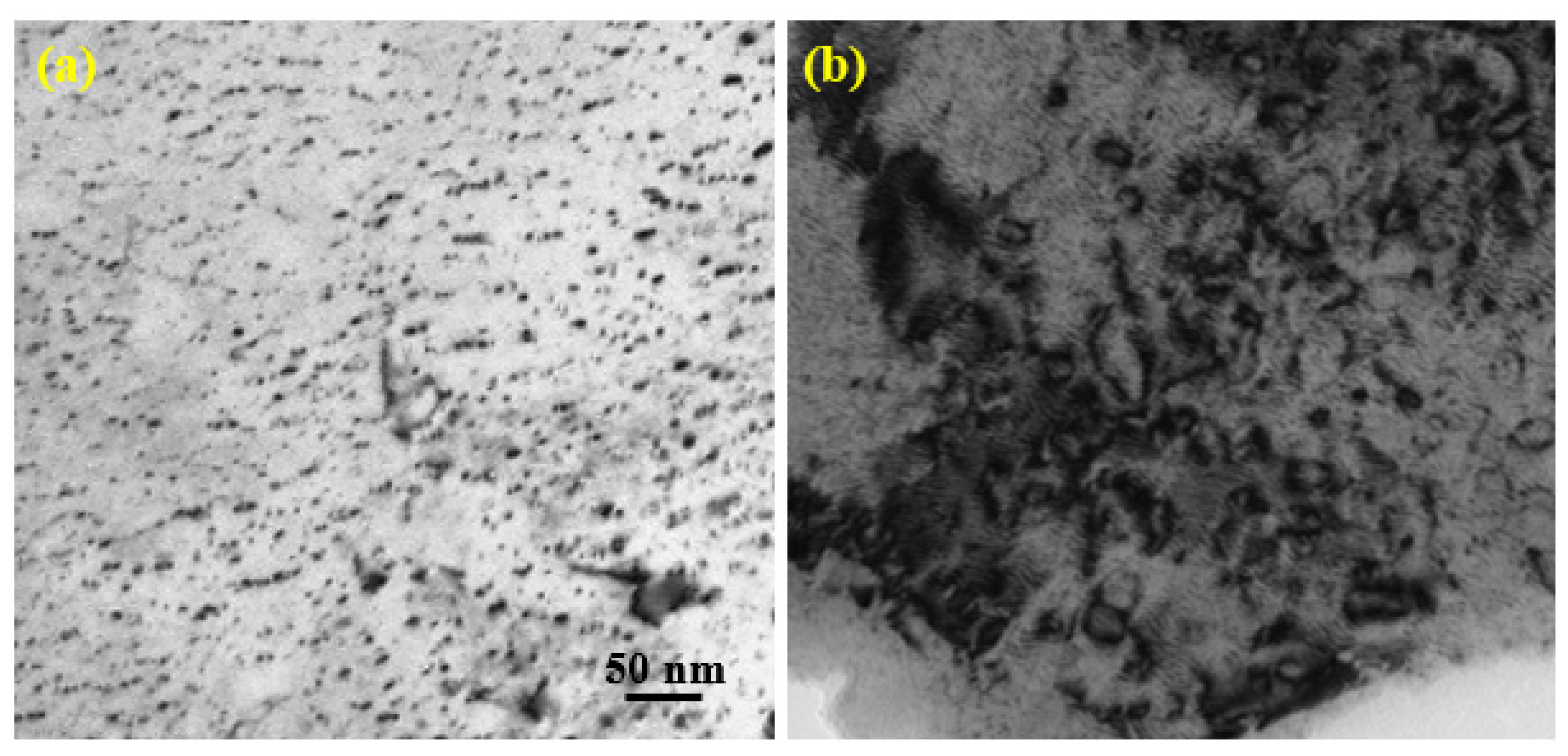 Materials 14 06669 g005 550